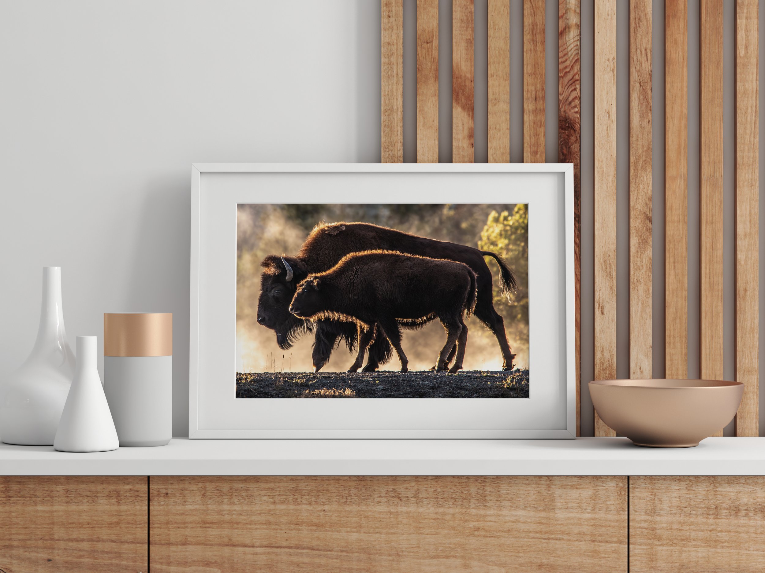 Buffalo Small Print.jpg