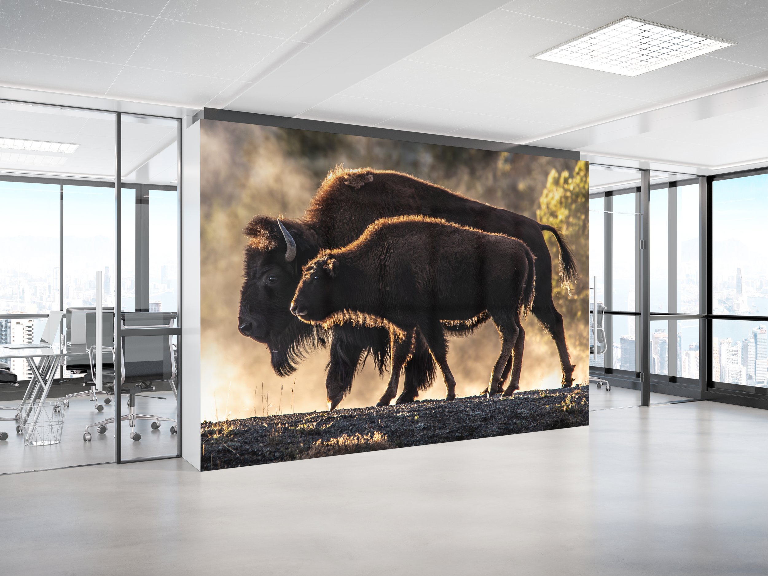 Buffalo Office Wall.jpg