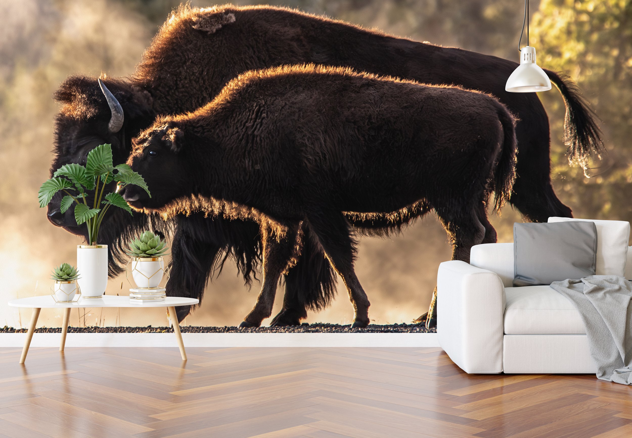 buffalo living room wall without reflections.jpg
