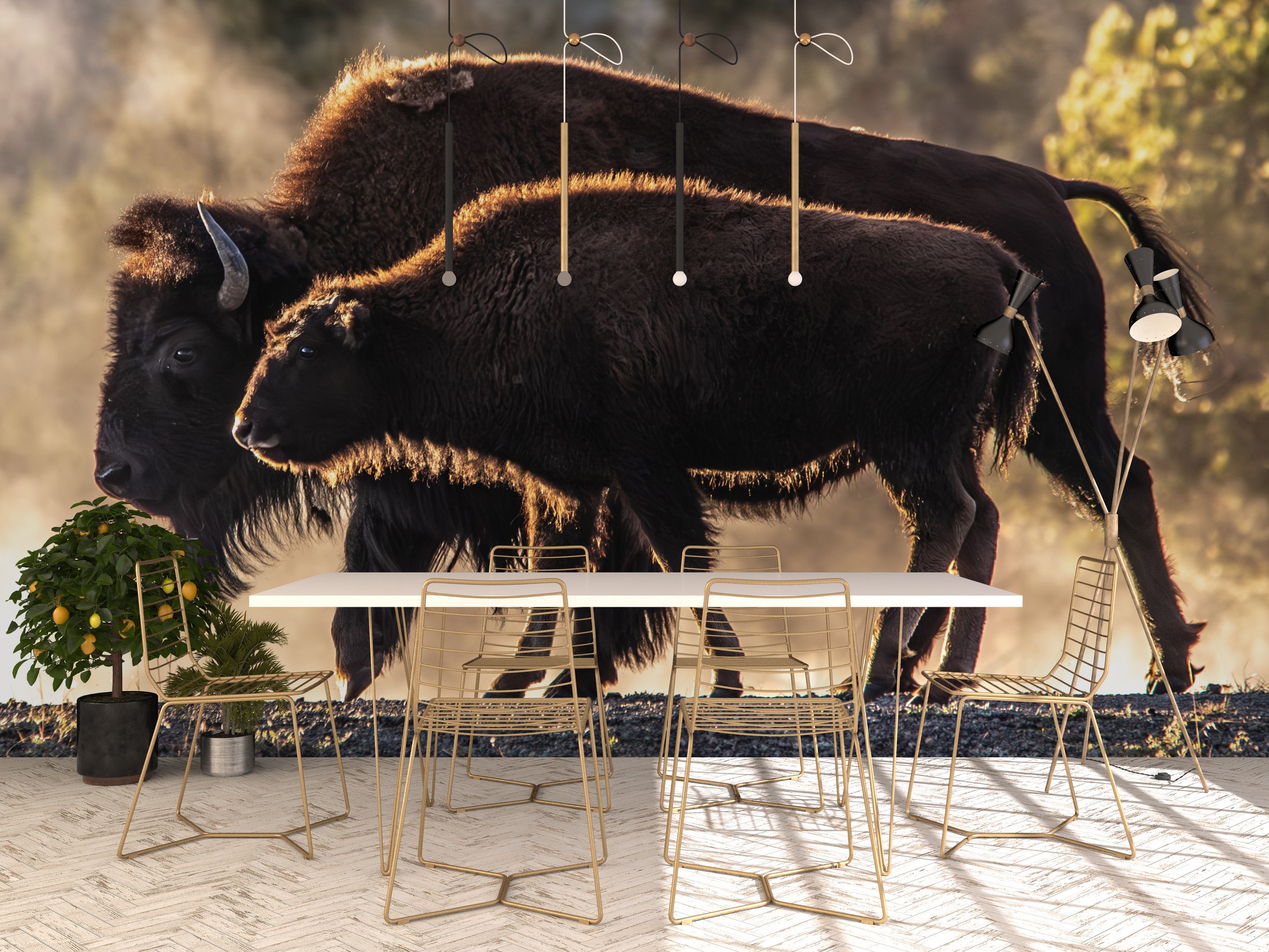 dining room buffalo.jpg