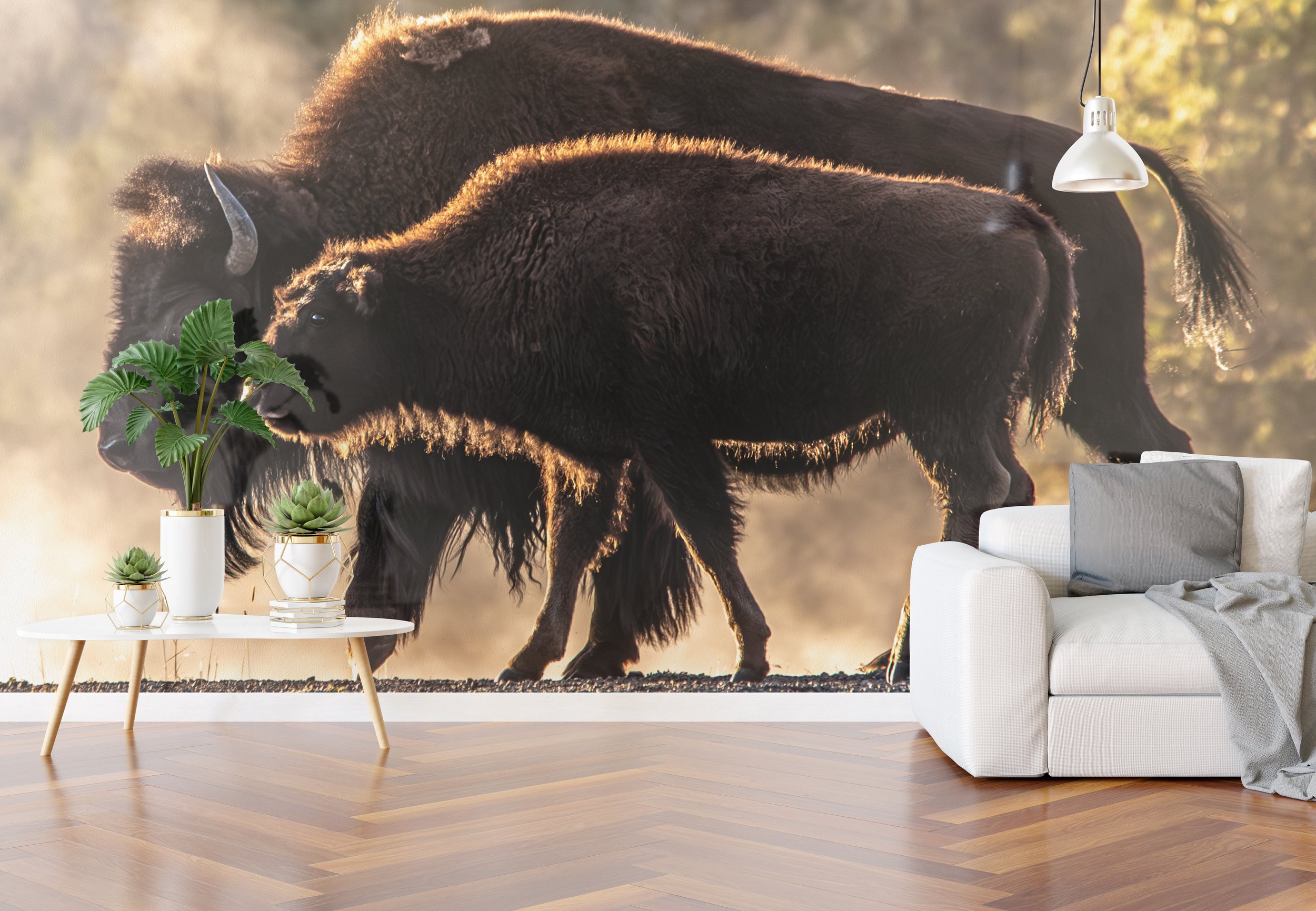 Buffalo Living Room Wall.jpg