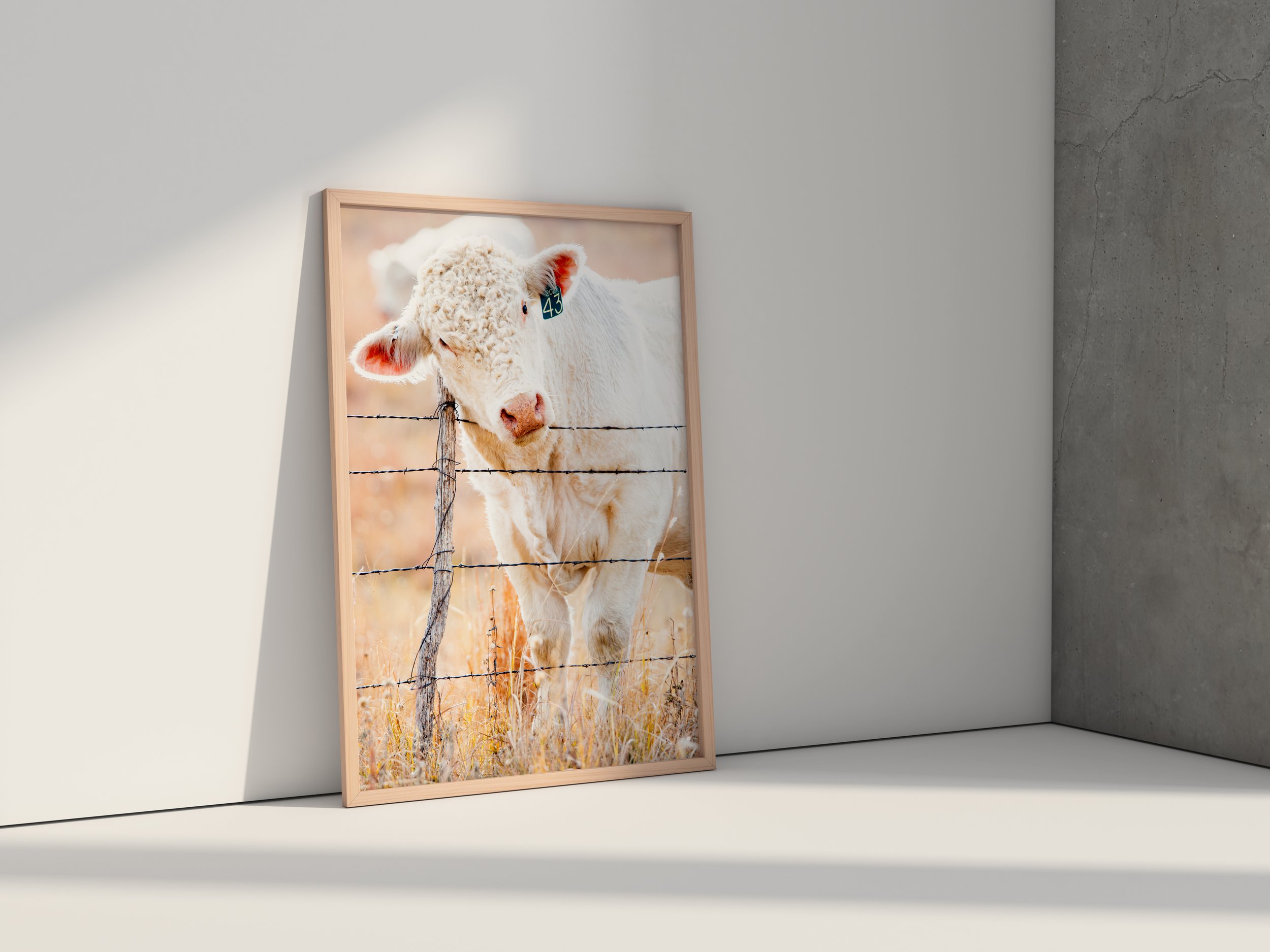 Vertical poster charliics coww.jpg
