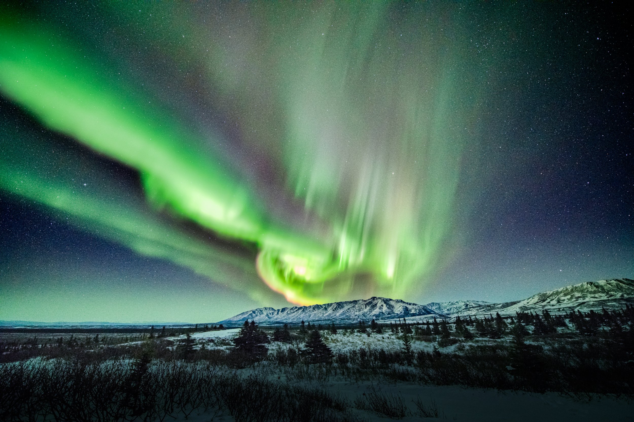 015_Marcy Pinetti Night Sky.jpg
