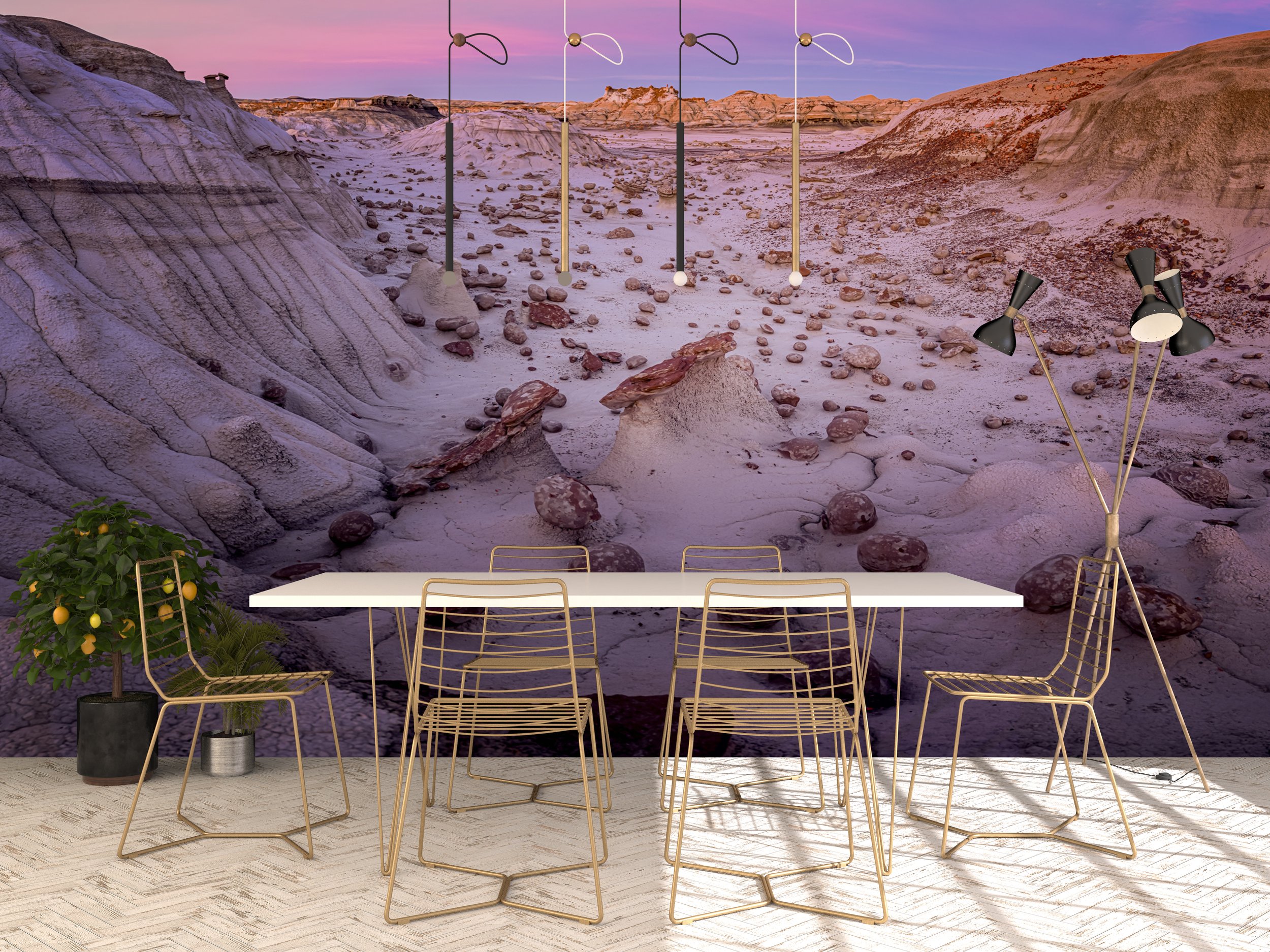 mars dining room copy.jpg