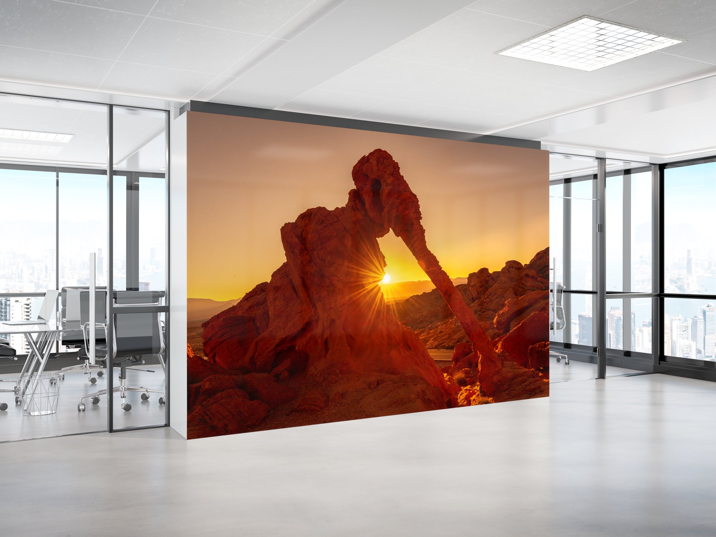 elephant rock Offcie Wall Mockup.jpg