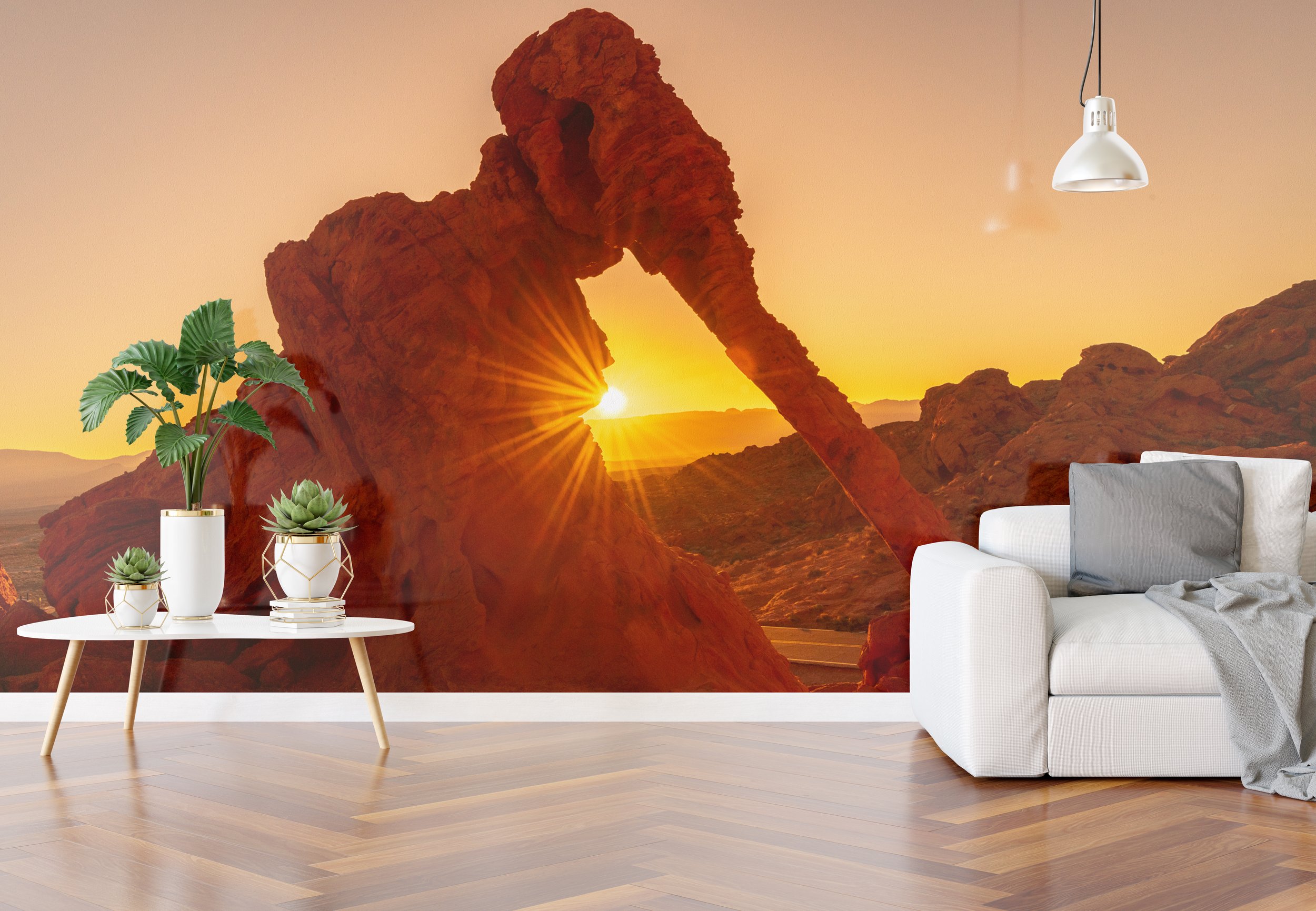 elephant rock livinbg room copy.jpg