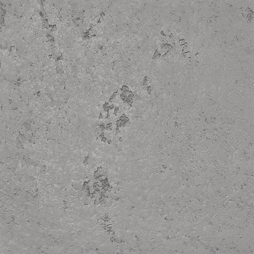 Archi+Big Concrete Finish by Novacolor .png