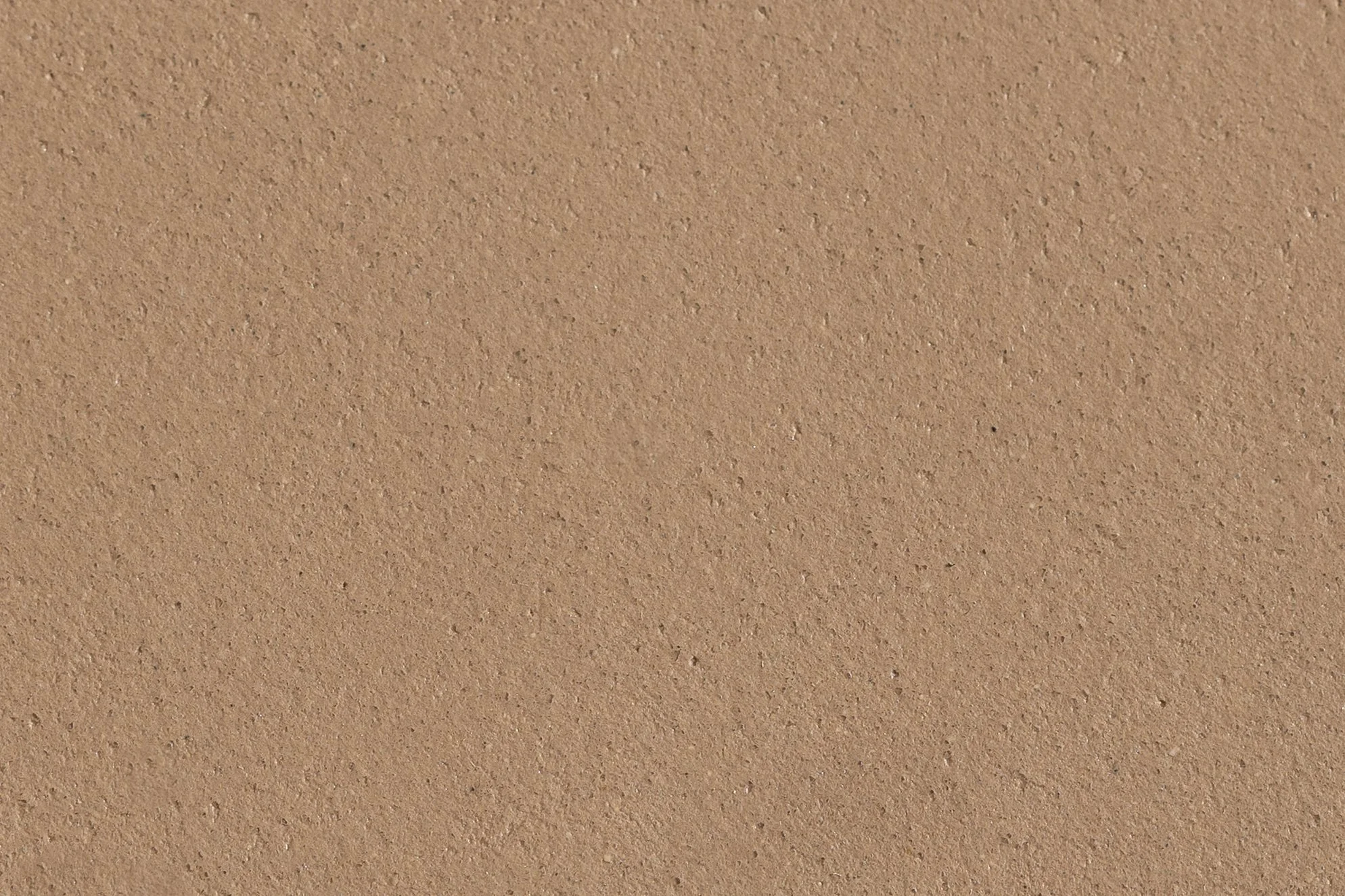Pecan
