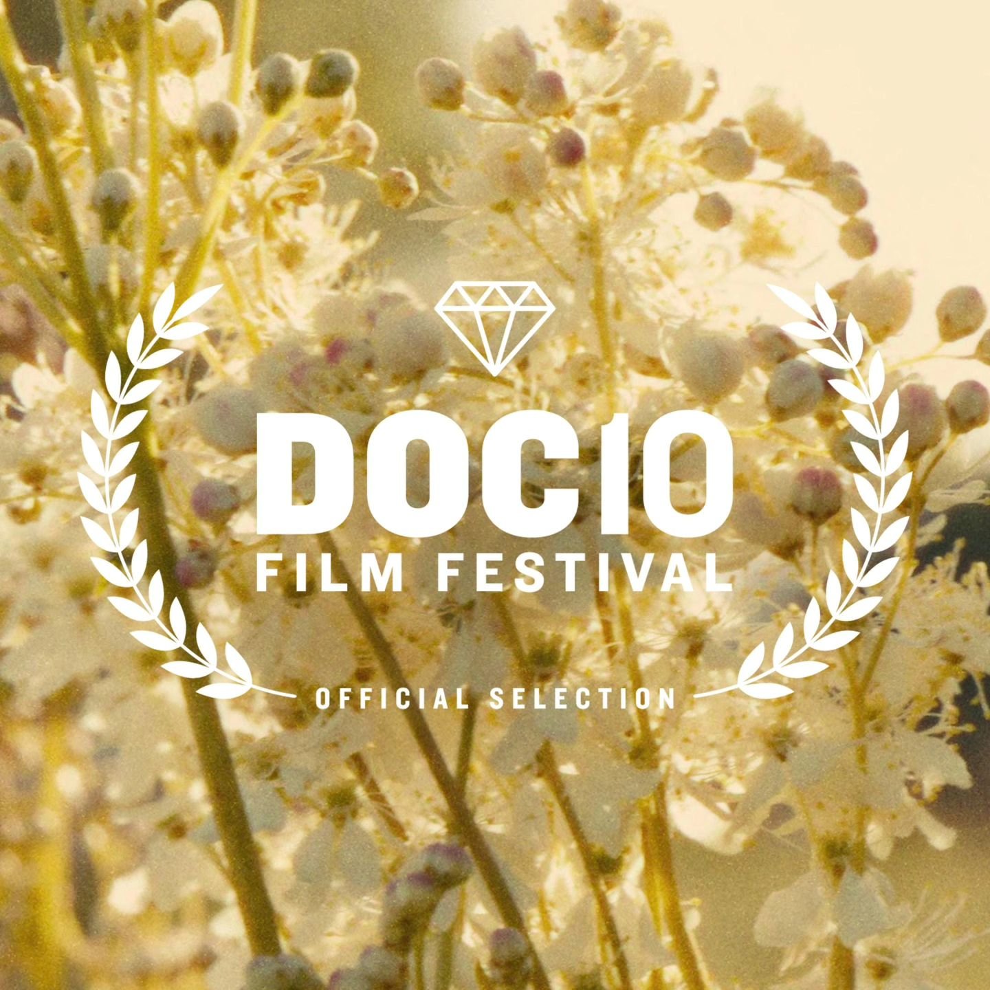 Porcelain War is premiering in Chicago at Doc10! The festival screens the best documentaries, culled from Sundance, Tribeca, Hot Docs, DOC NYC and other top-tier festivals across the nation.

We are truly honored. 

Screening:
Saturday May 4th @ 12:0