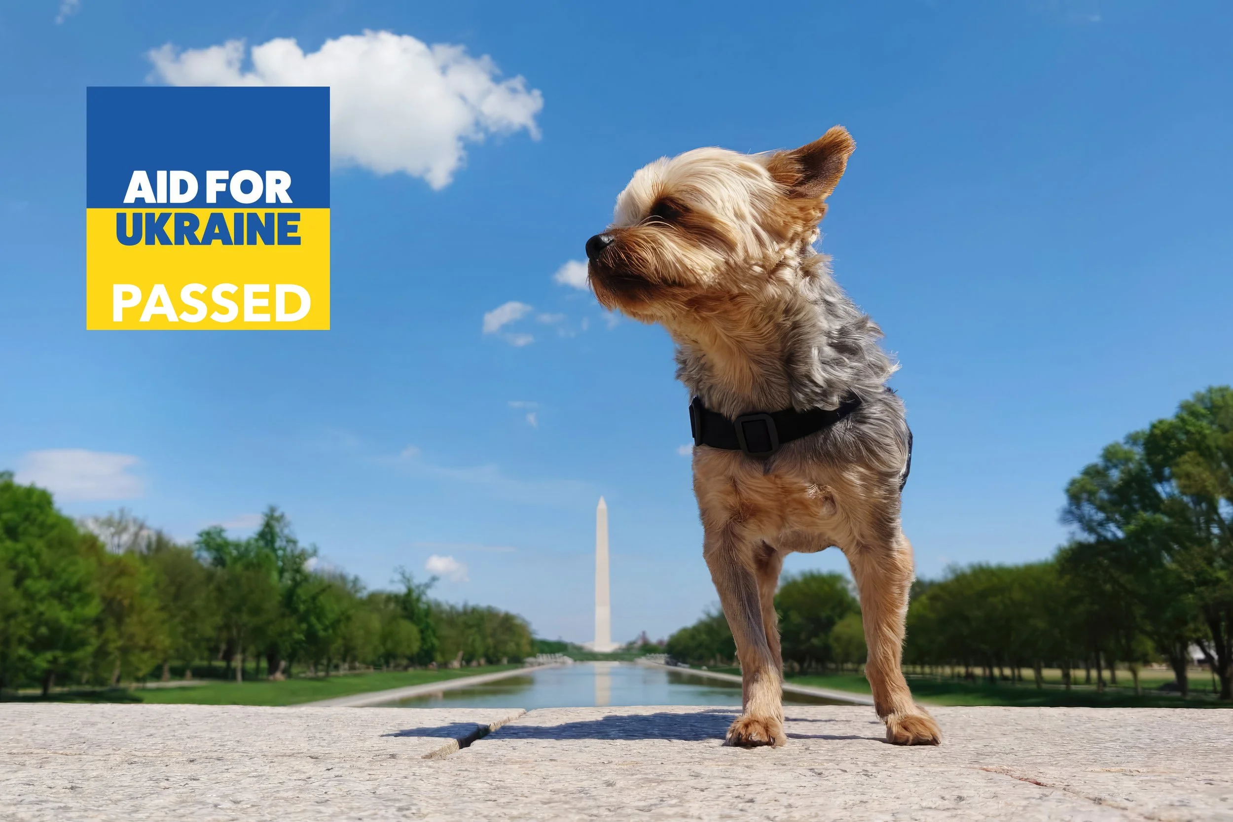 Frodo and Obelisk.jpg