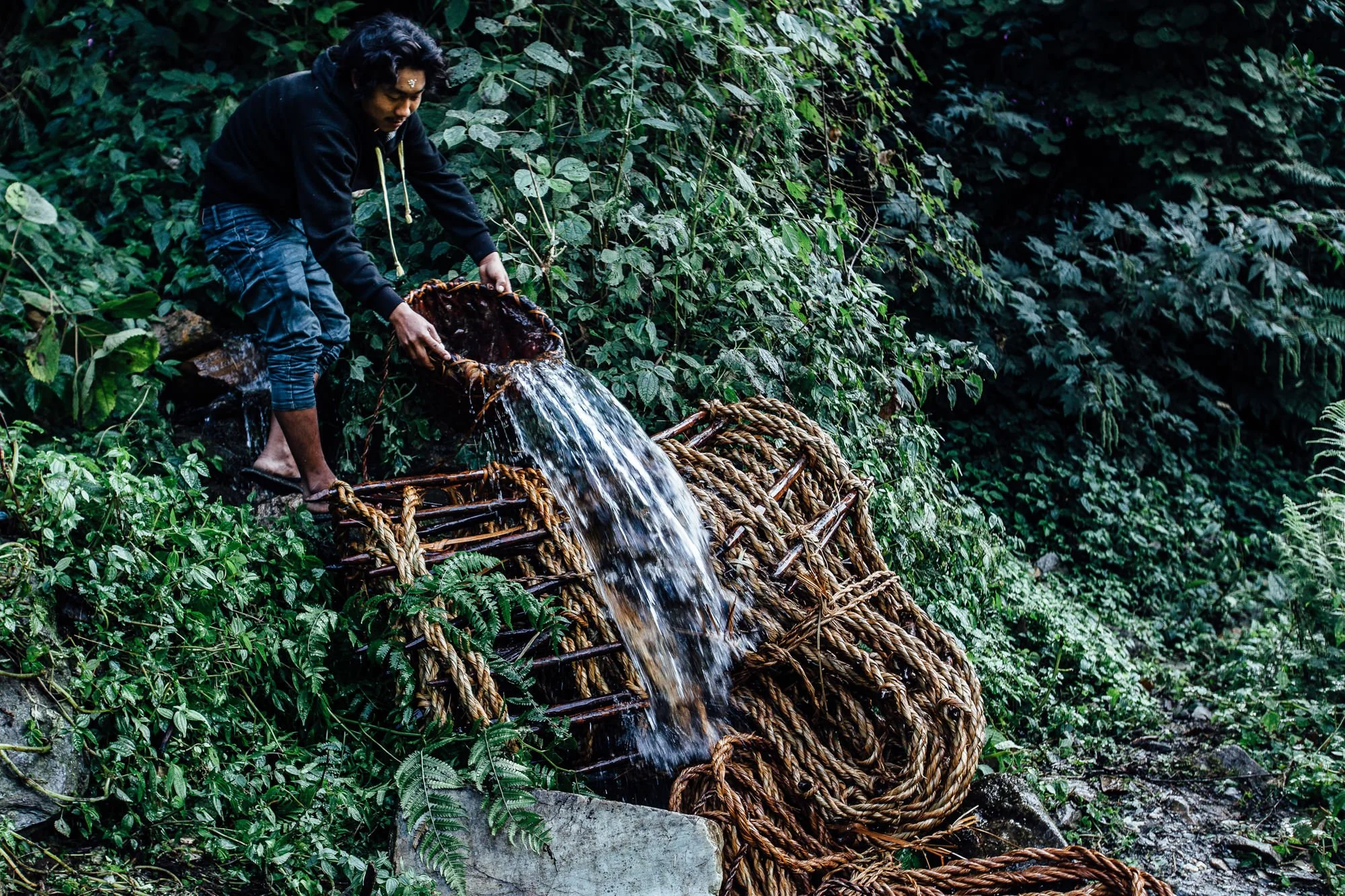 AB_CALQ Portfolio-2.jpg