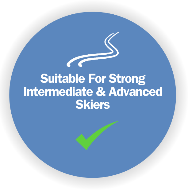 performance camp level.png