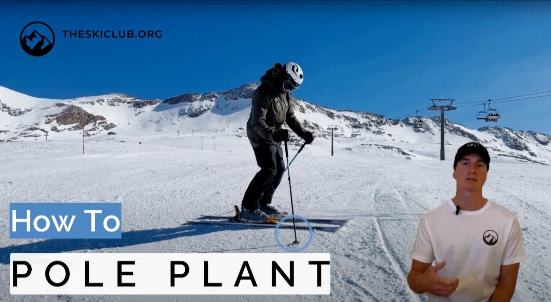 Pole plant thumbnail.jpg