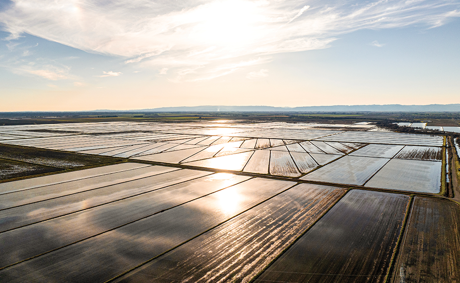 2025 Year in Review: Building on Our Foundation