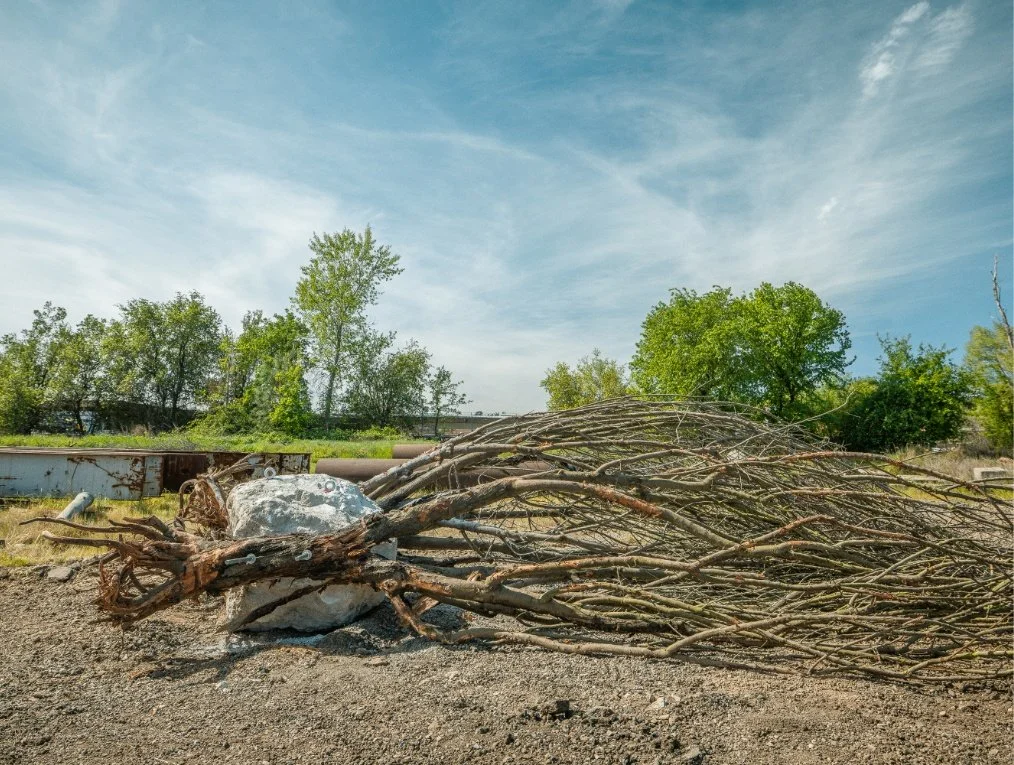 rockwad-build-6.jpg