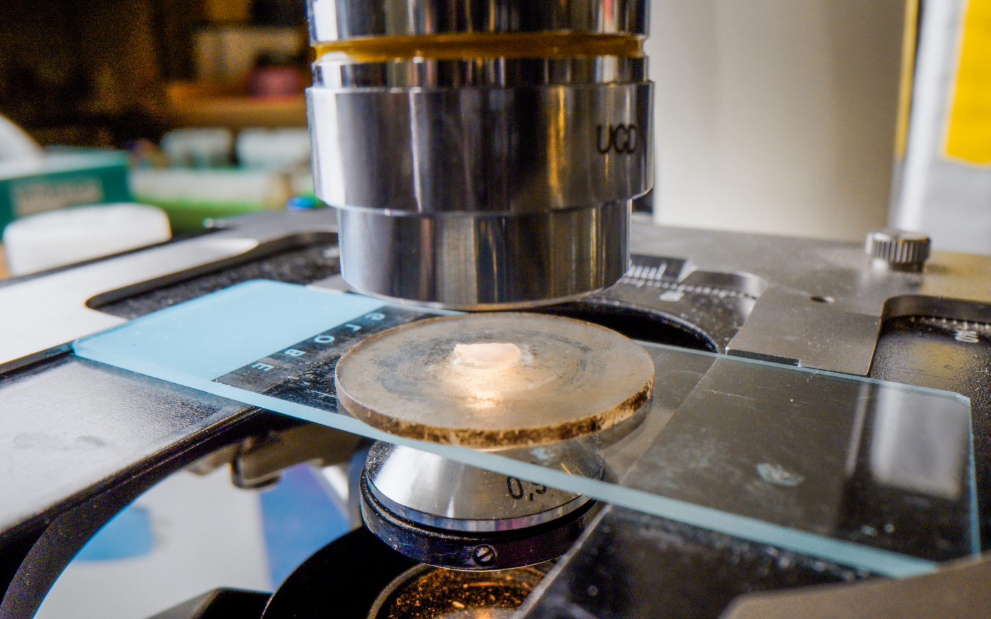 photo of an otolith under a microscope