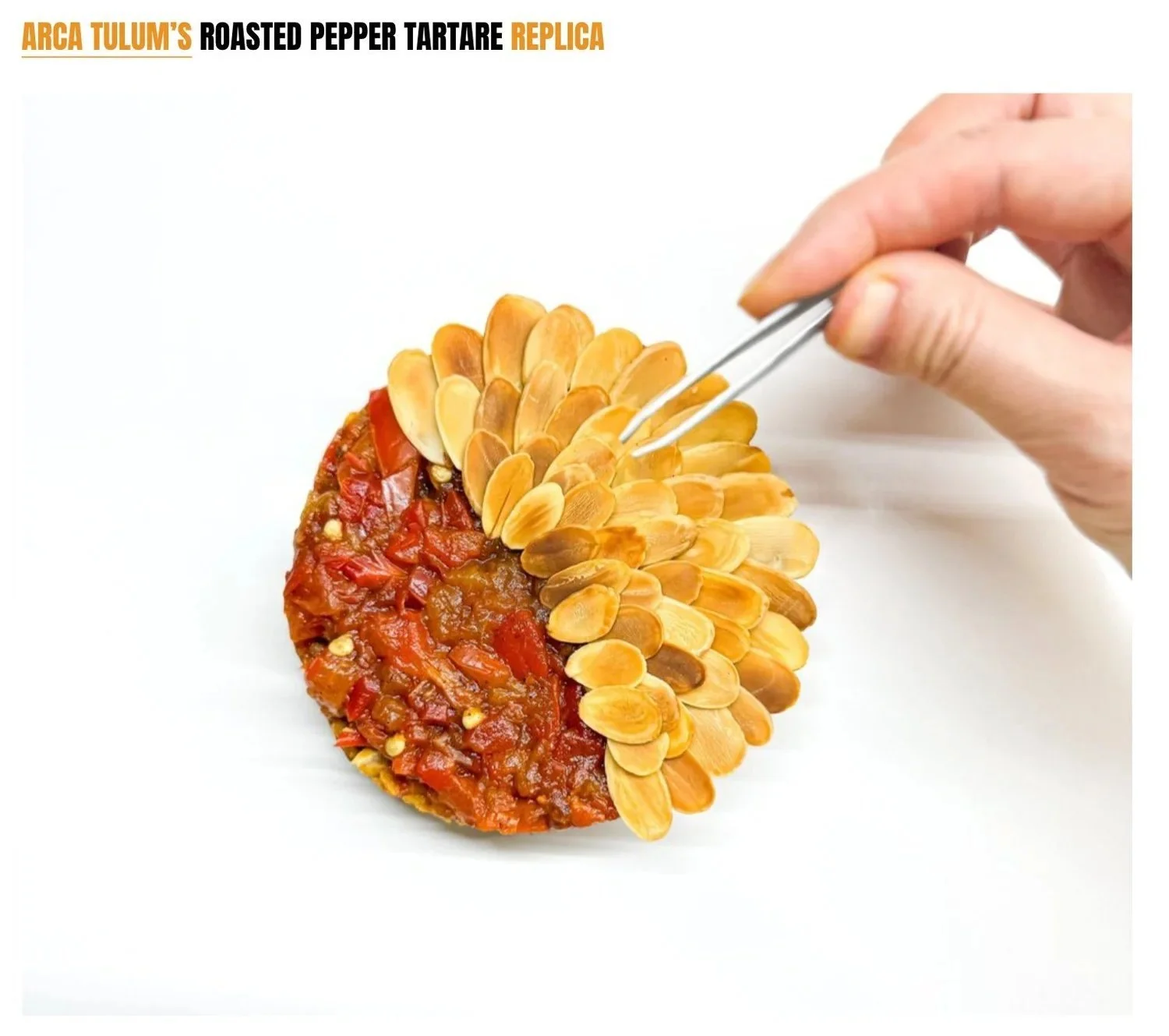 arca tulum’s roasted pepper tartare