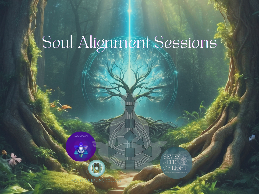 Soul Alignment Session