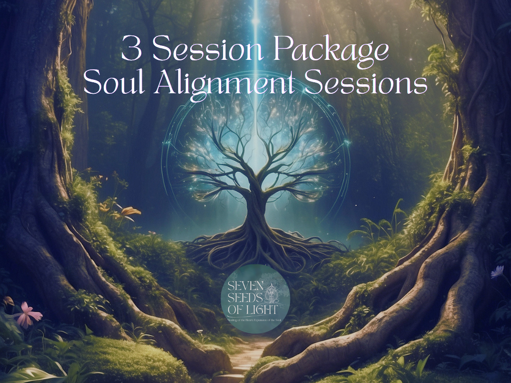 3 Session Package - Soul Alignment Sessions