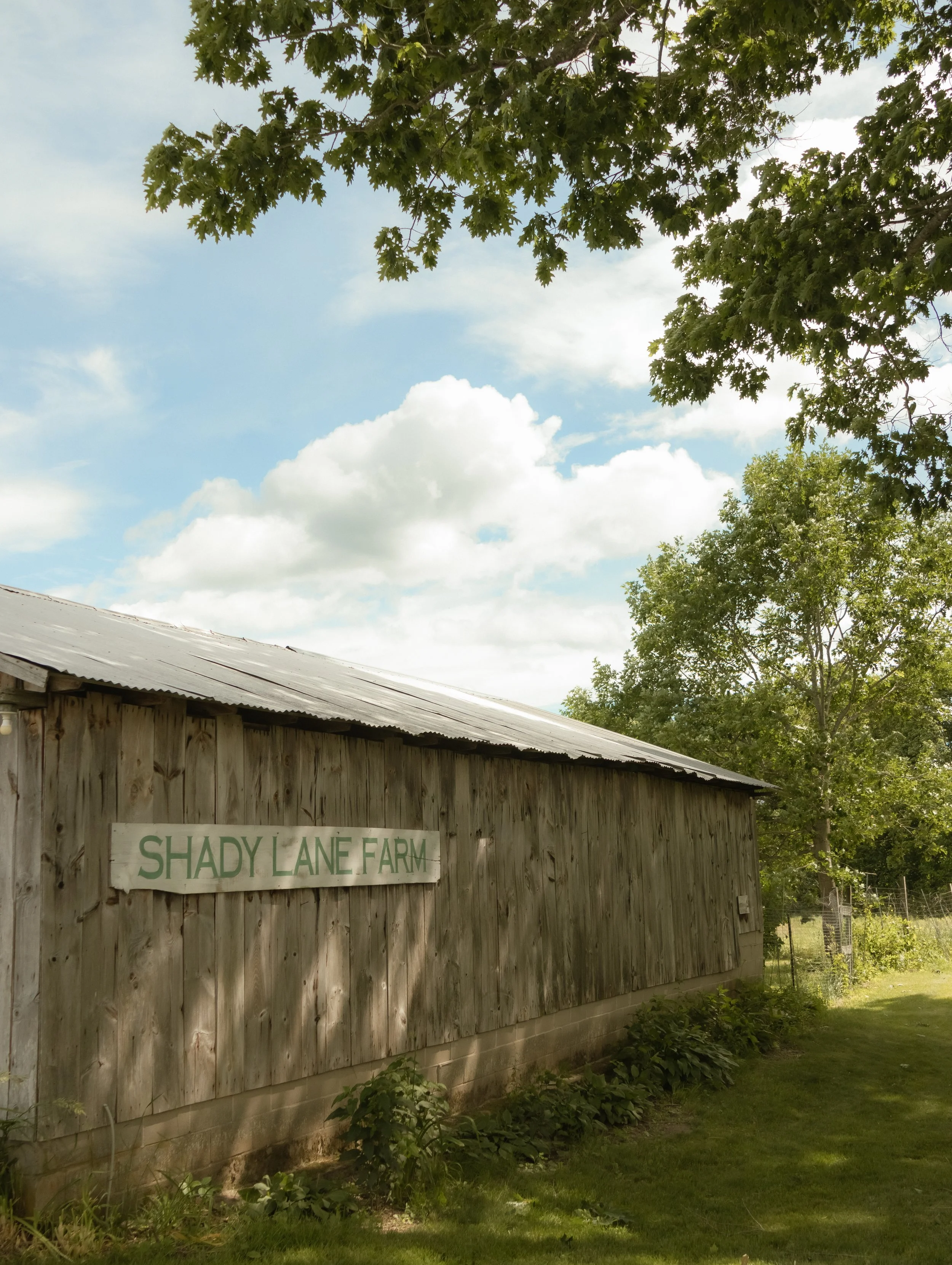 6C6A4990.jpg