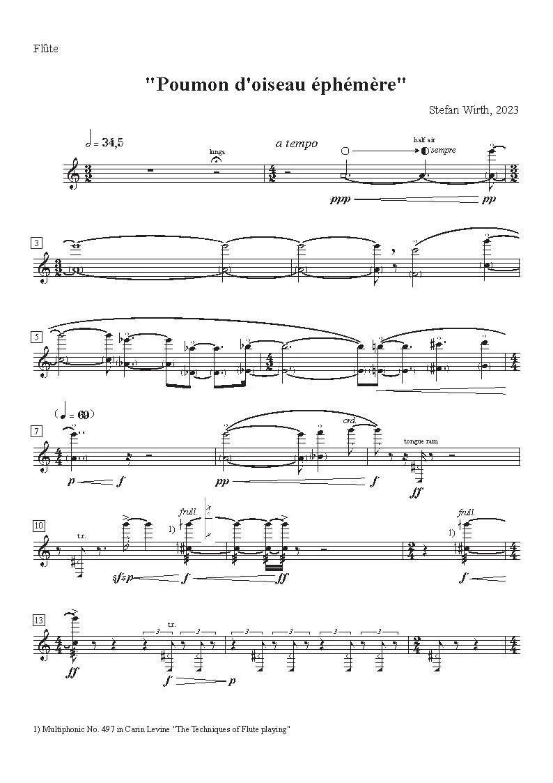 Poumon d'oiseau éphémère - Flute_Seite_1.jpg