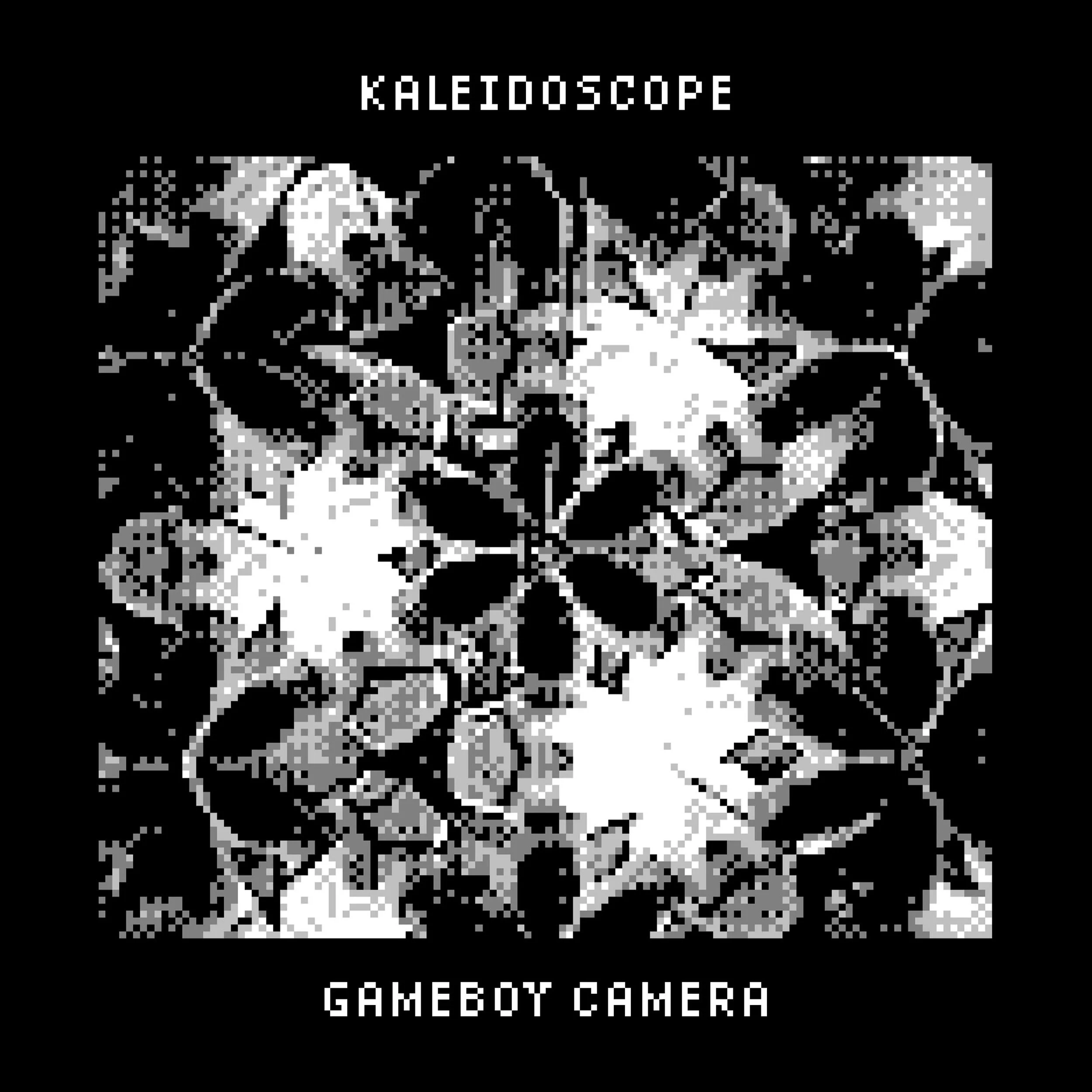 08/12 of my Photography Final ⚛️
&bull;
&bull;
&bull;
#gameboycamera #gameboyphoto #experimentalphotography