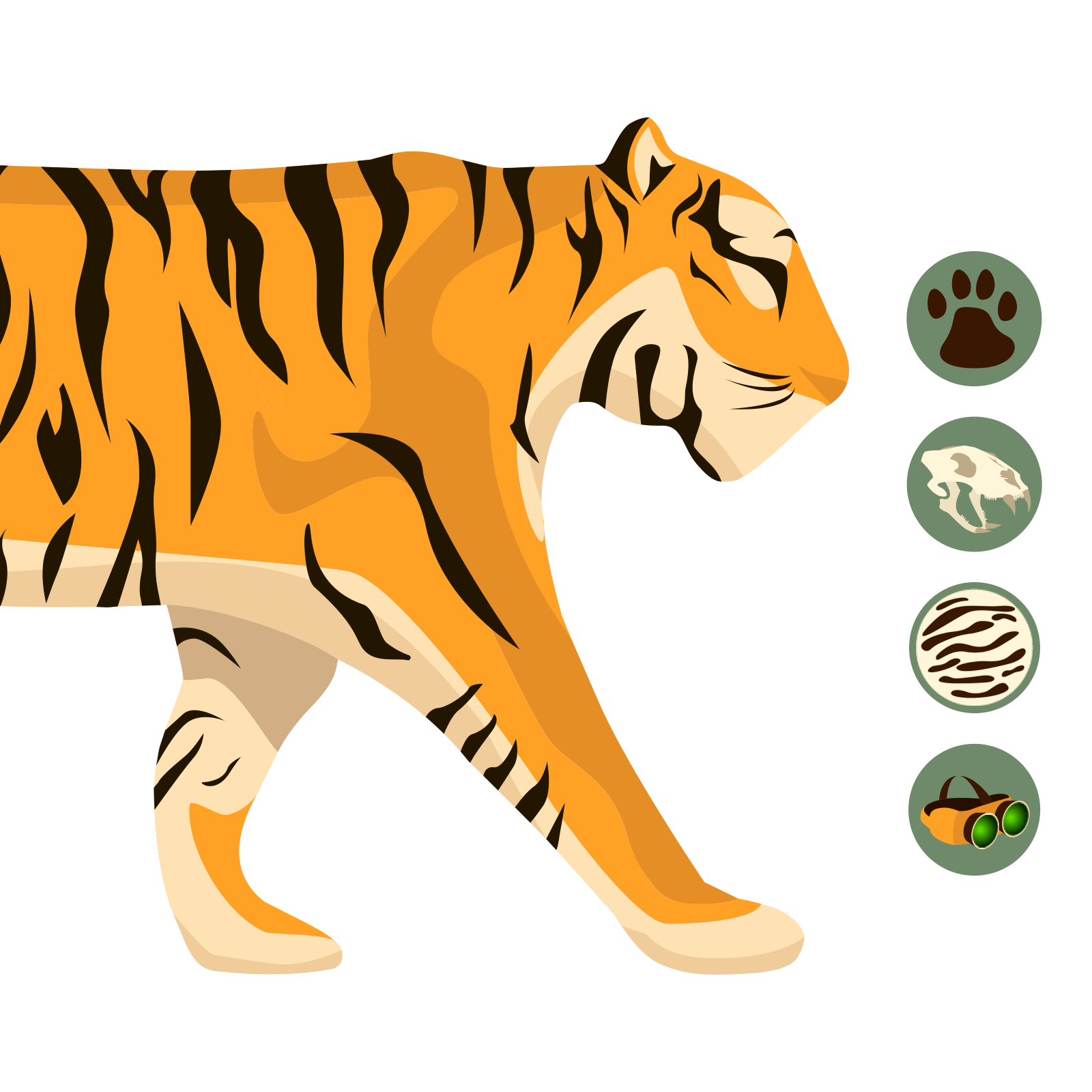 TIGER POSTER