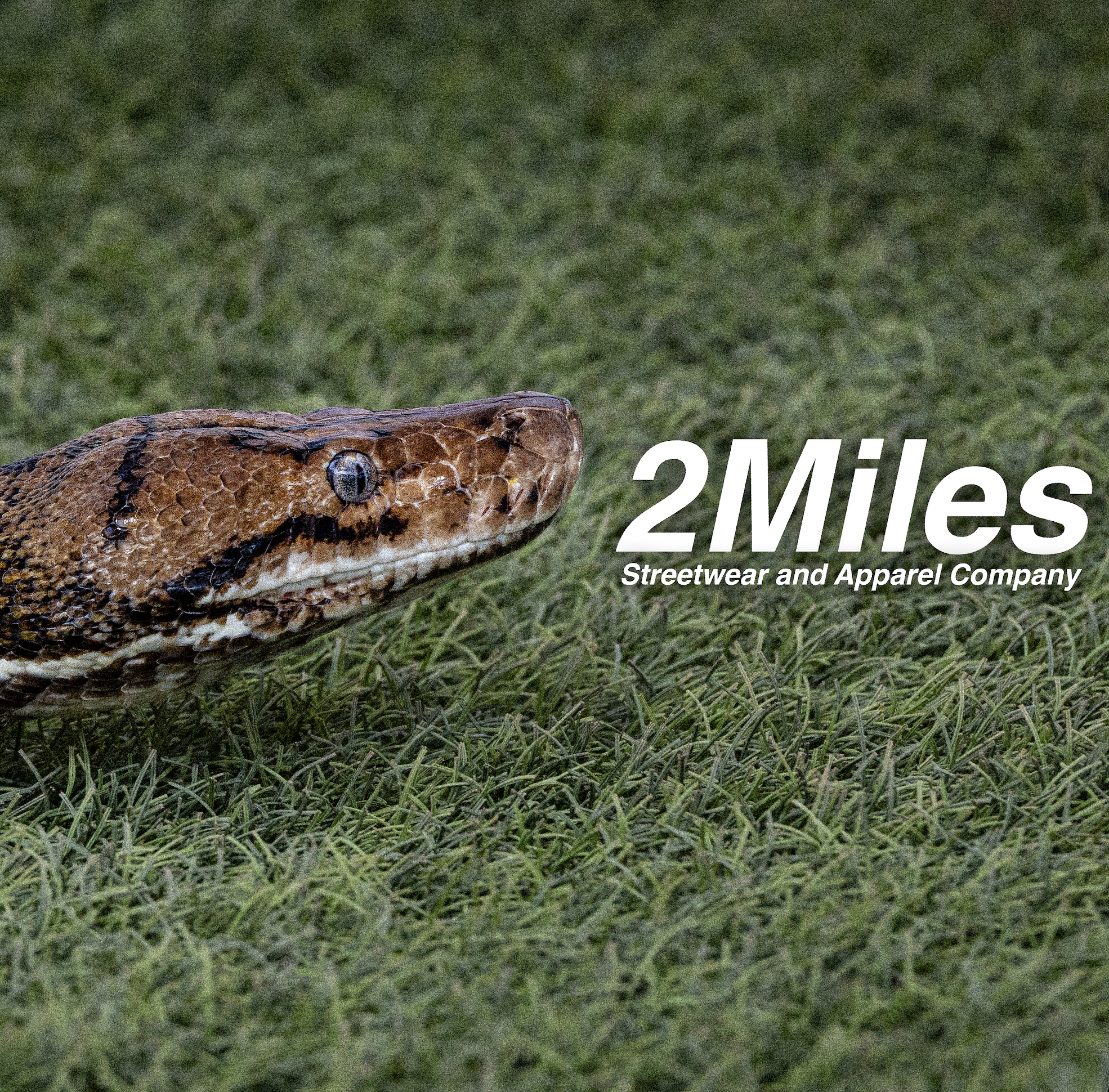 2MILES