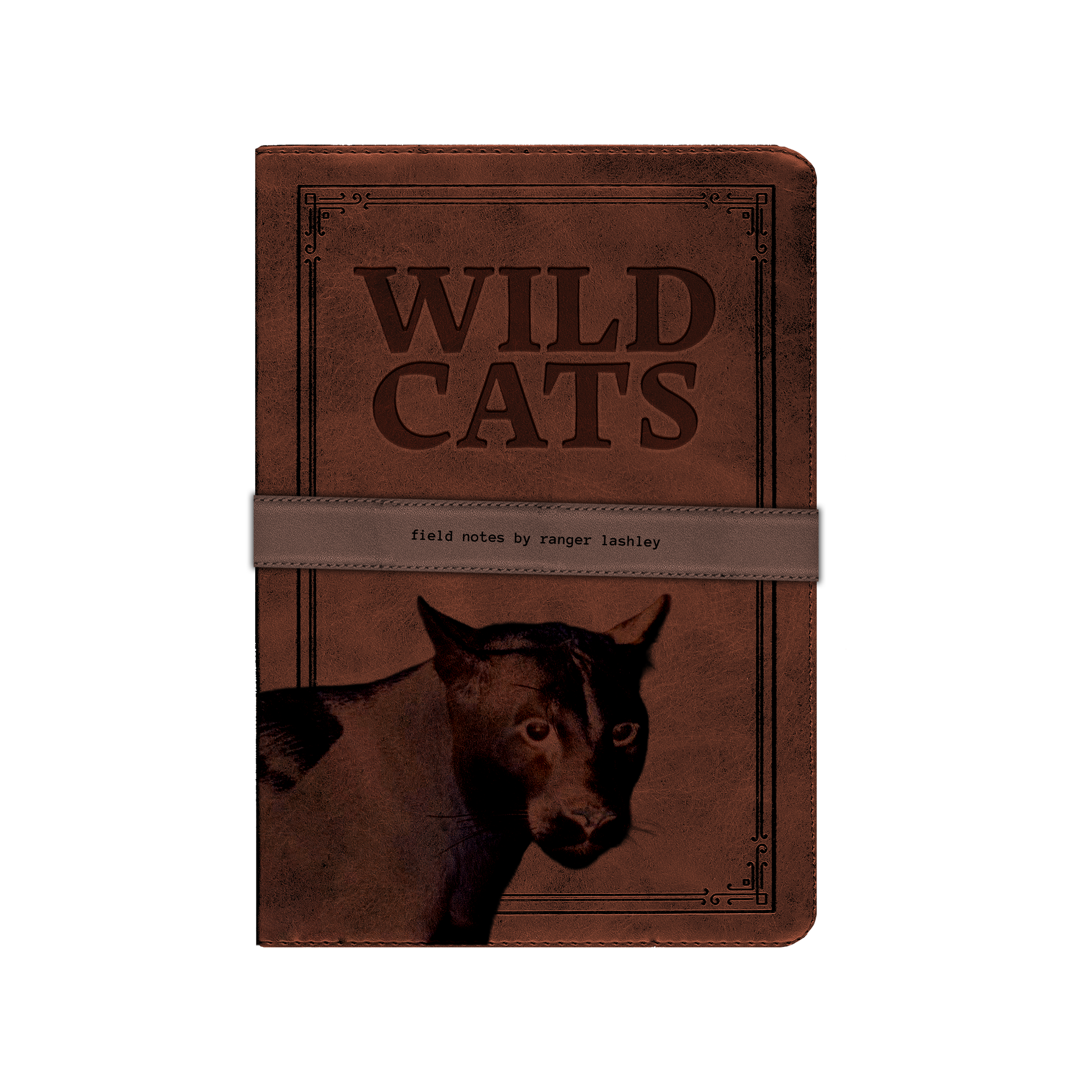 WILD CATS