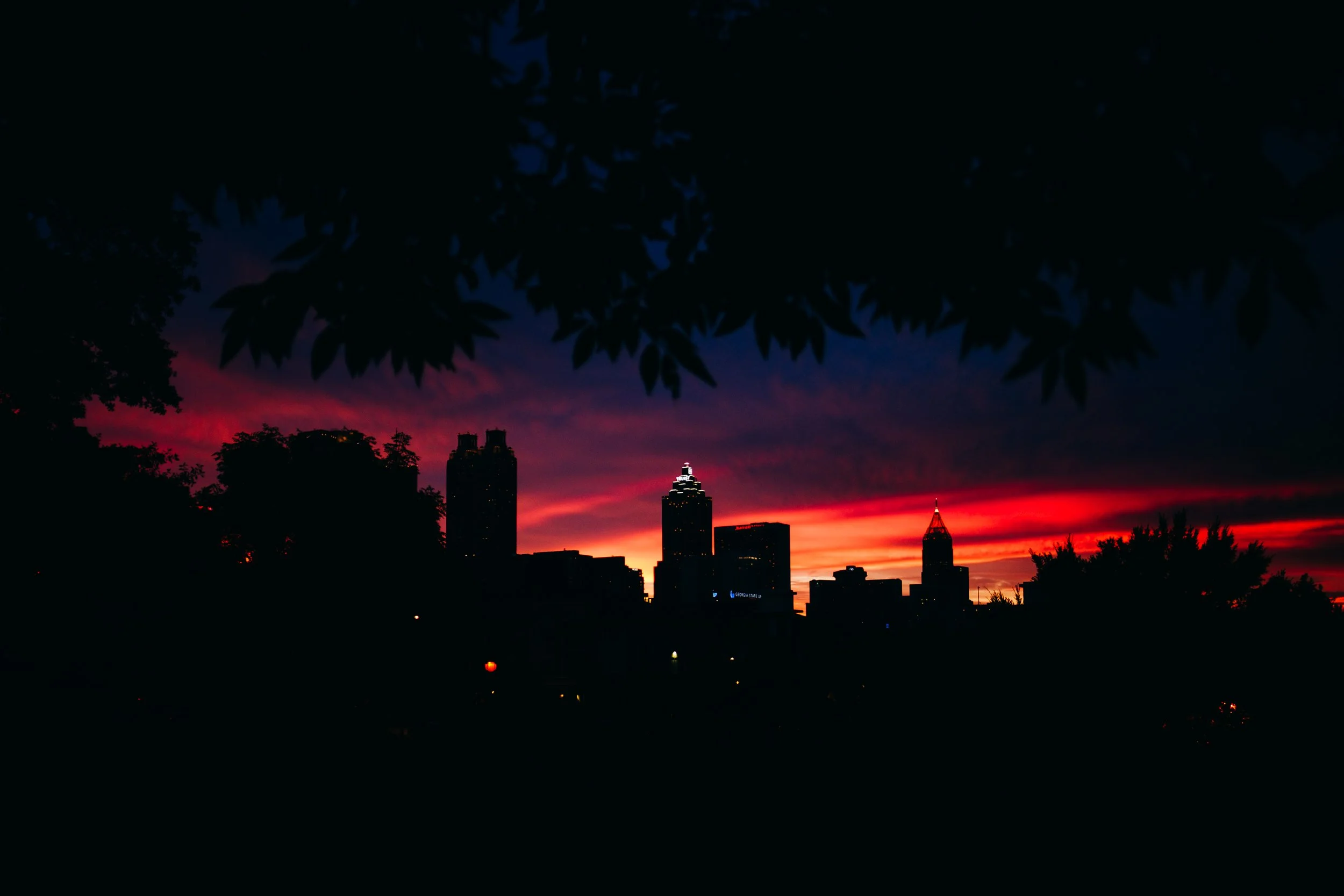 20240709_MG50350.jpg