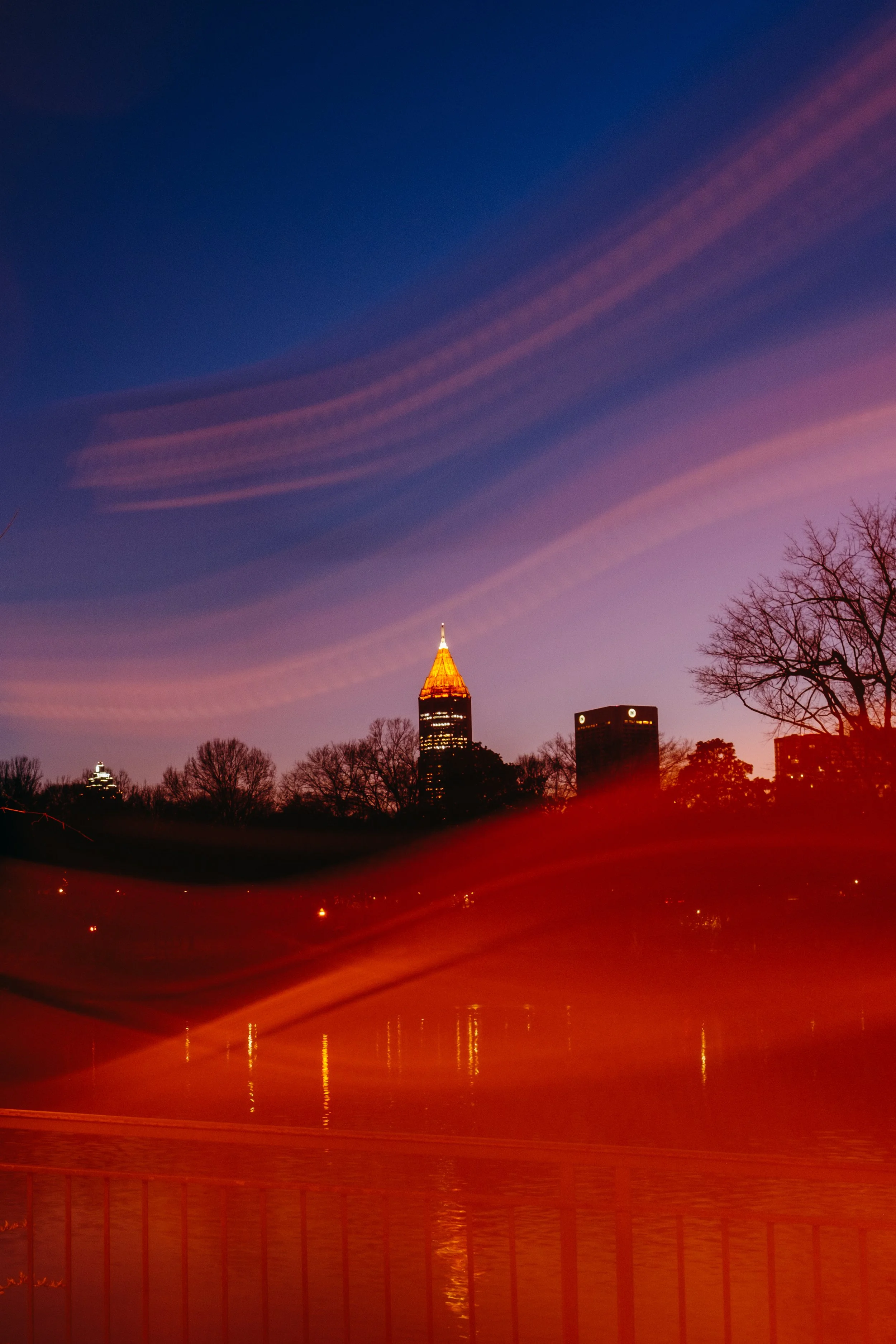 20250310_MG50520.jpg