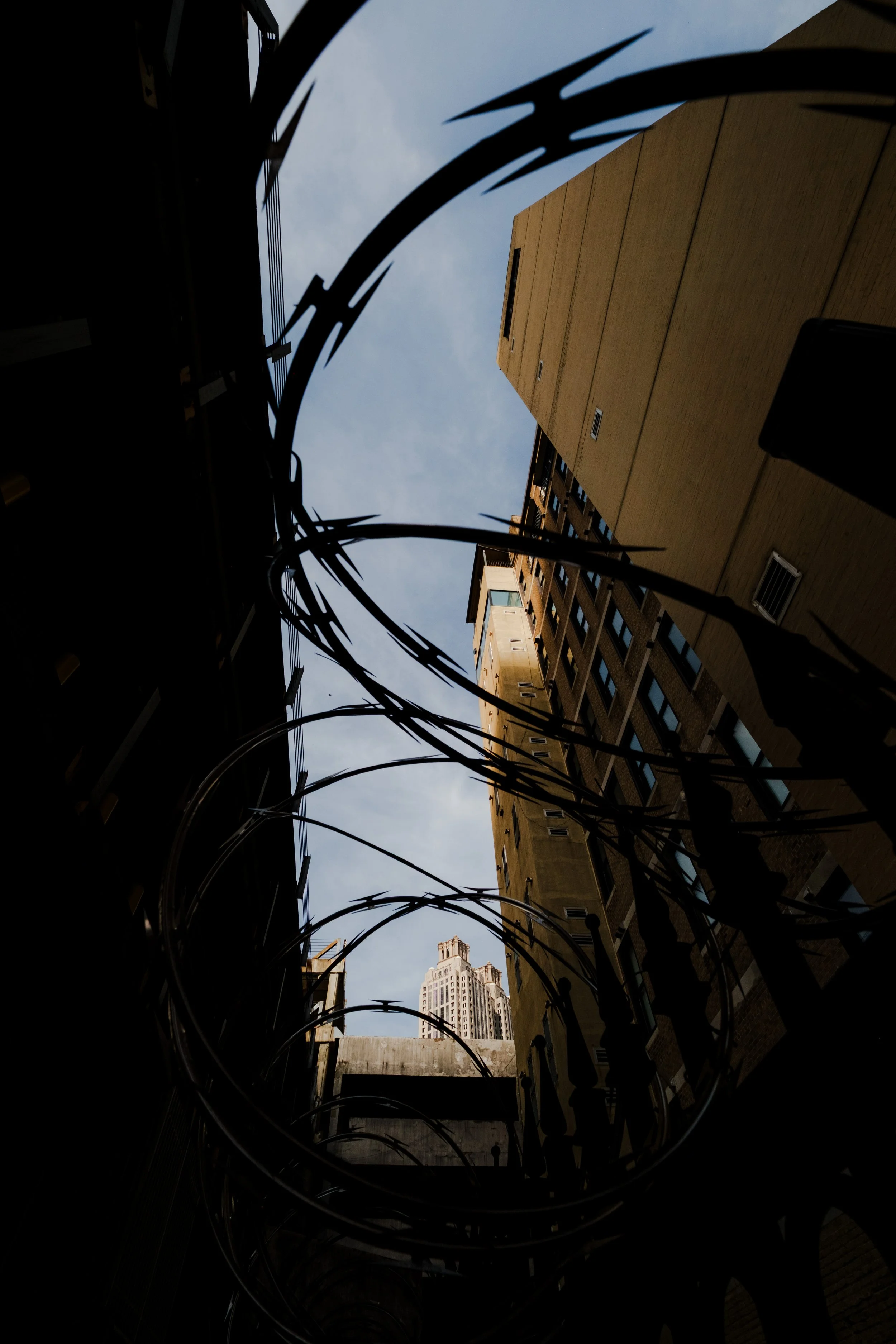 20260421__MG50426.jpg