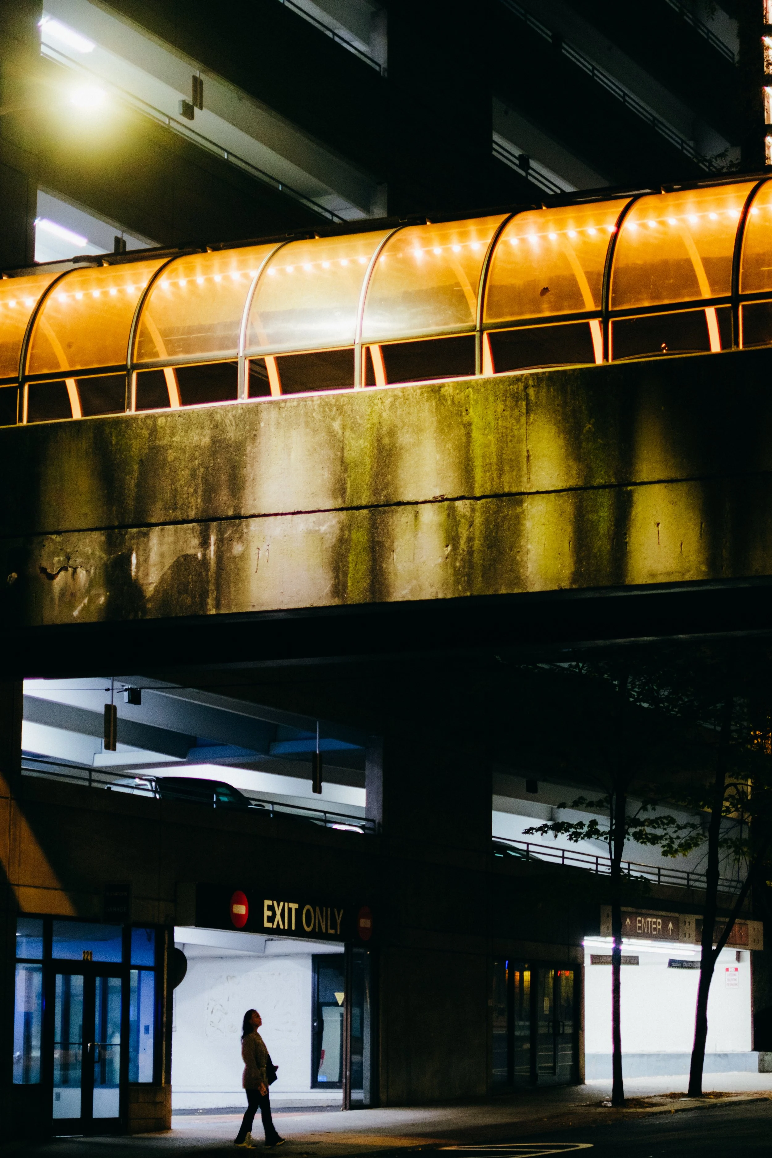 20251104_MG50486.JPG