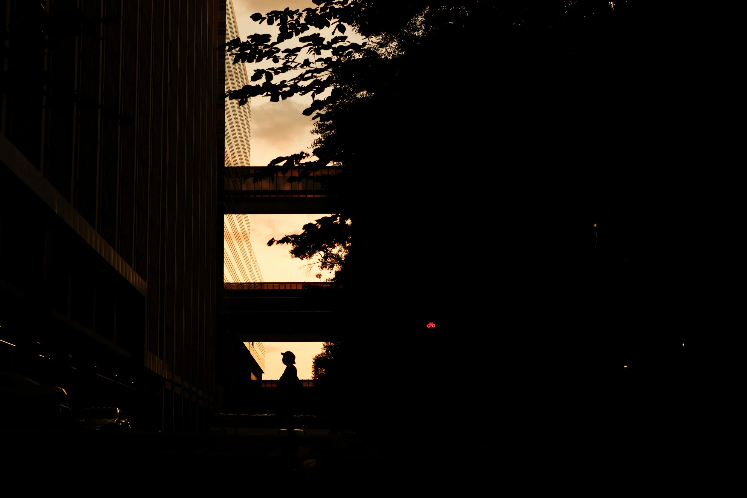 20240712_MG50259.jpg