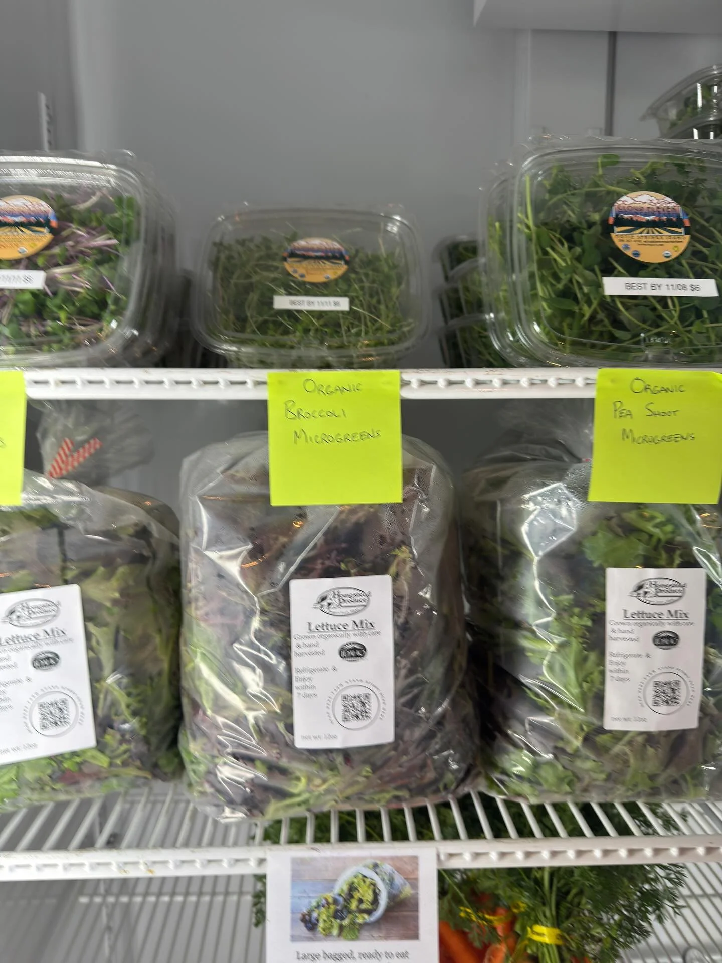 🍂 Believe it or not &mdash; we still have plenty of produce! 🥕🥬
So many folks told us last week they thought it was too late for lettuce mix&hellip; but thanks to this beautiful fall (and our trusty high tunnels), we&rsquo;re making the most of wh