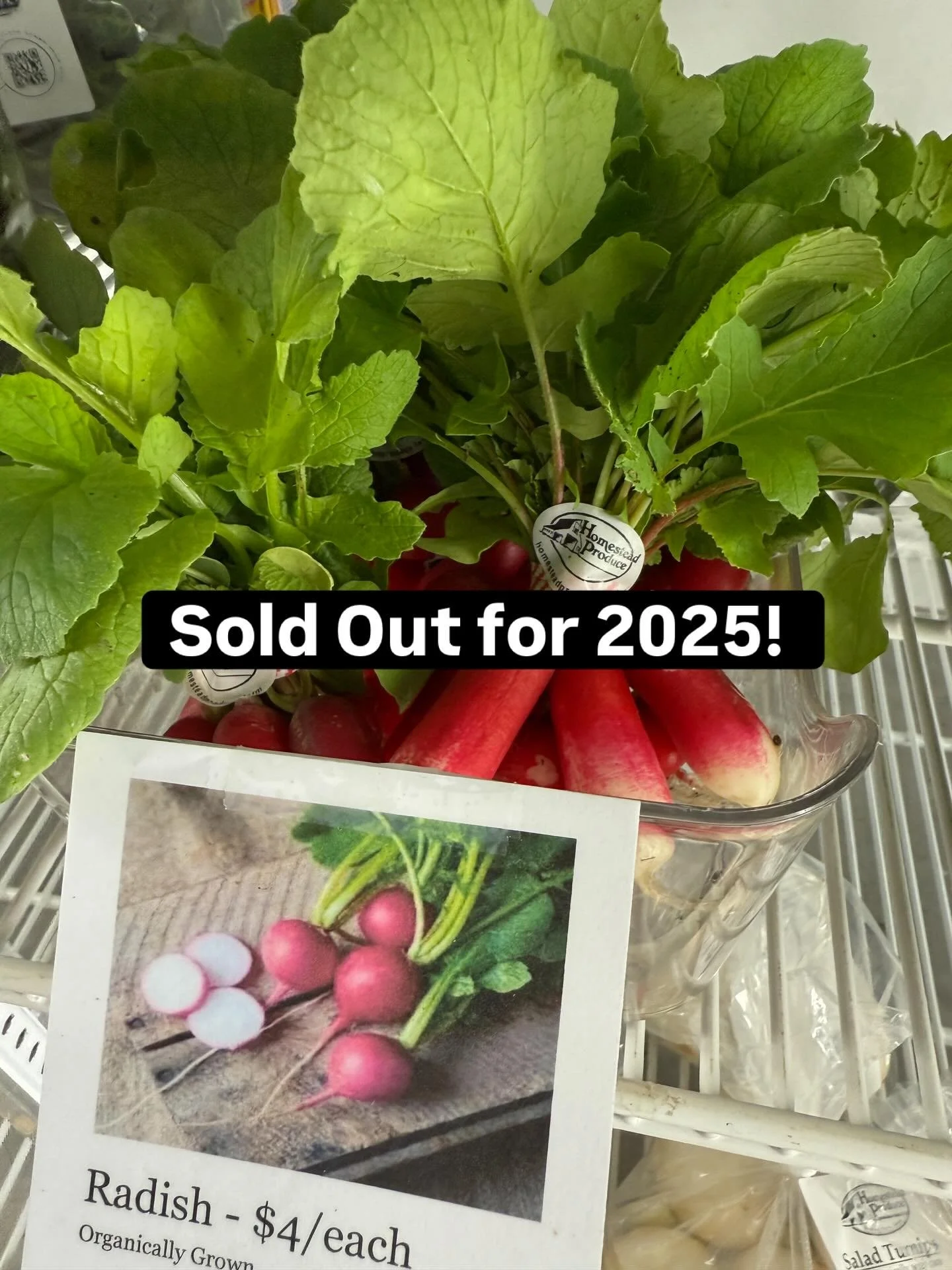 Big plans for 2026! 🌱
We&rsquo;re officially sold out of all our produce for 2025, and we&rsquo;re already getting ready to seed new crops&mdash;some as soon as three weeks away!
Thank you for supporting local food and our family farm&mdash;we&rsquo