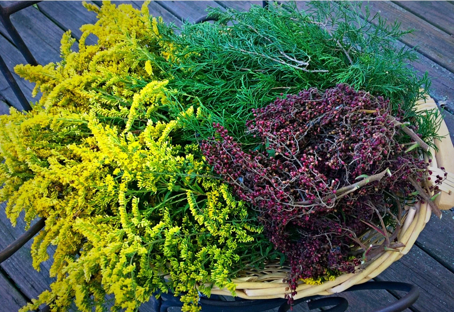 Foraged12019.JPG
