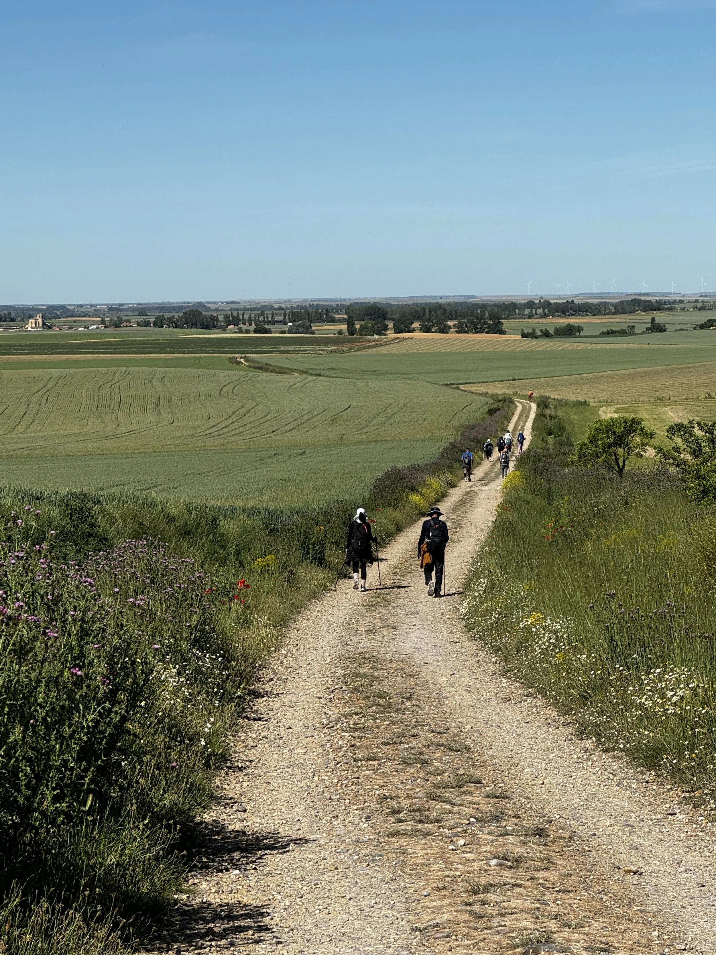 Crossroads in Middle Management: Reflections from my experience