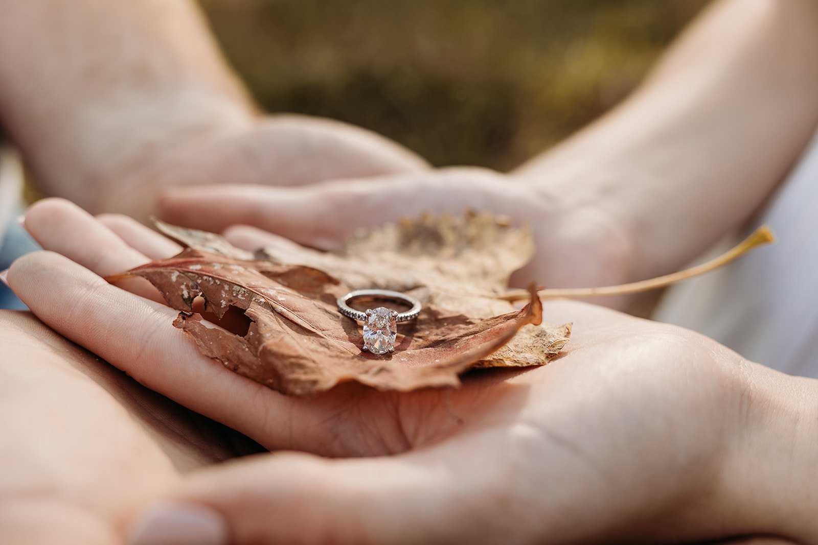 A close-up of a hand holding a dry, brown leaf with an oval-cut diamond engagement ring on it.