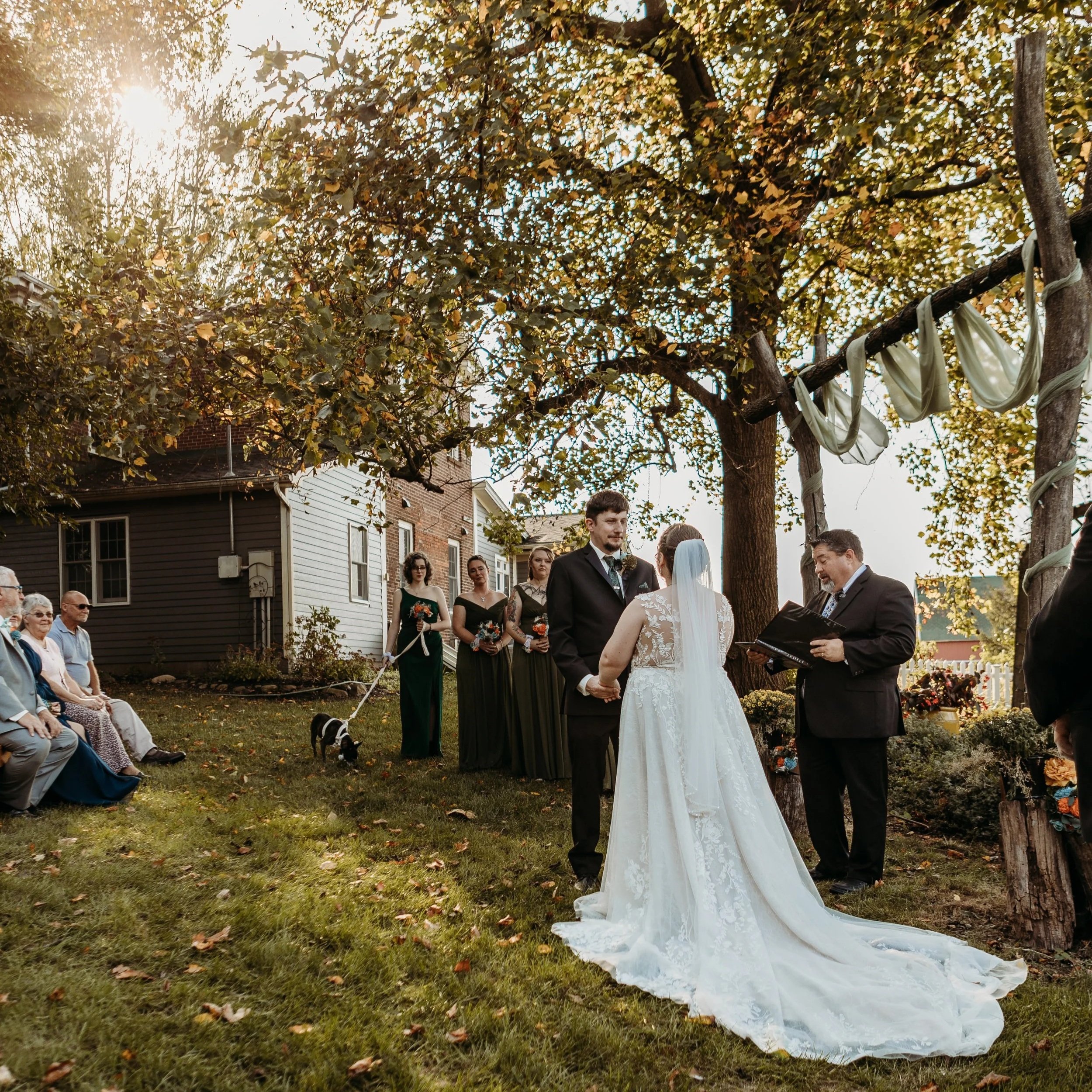 A couple getting married outdoor under a large tree, with guests seated nearby. Bridesmaids and a dog are also present, and a officiant is reading from a book.