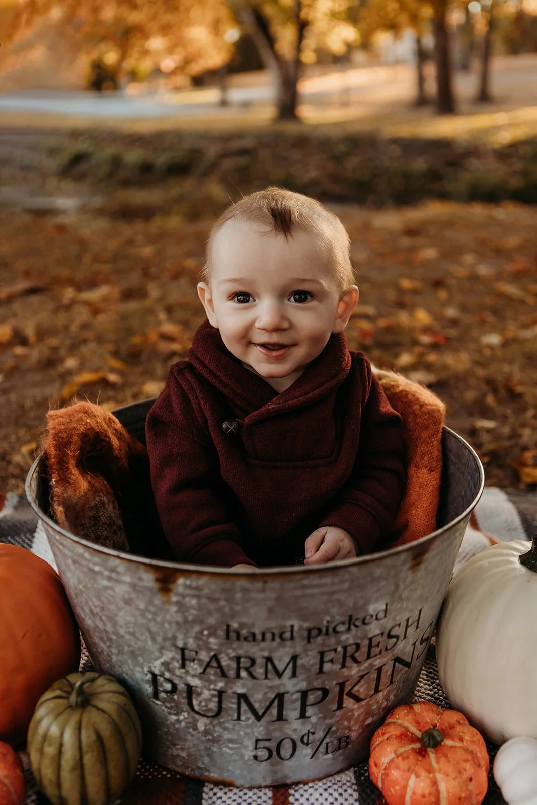 A smiling baby sitting inside a rustic metal bucket labeled 'Farm Fresh Pumpkins,' surrounded by pumpkins of various sizes and colors, set outdoors during autumn.