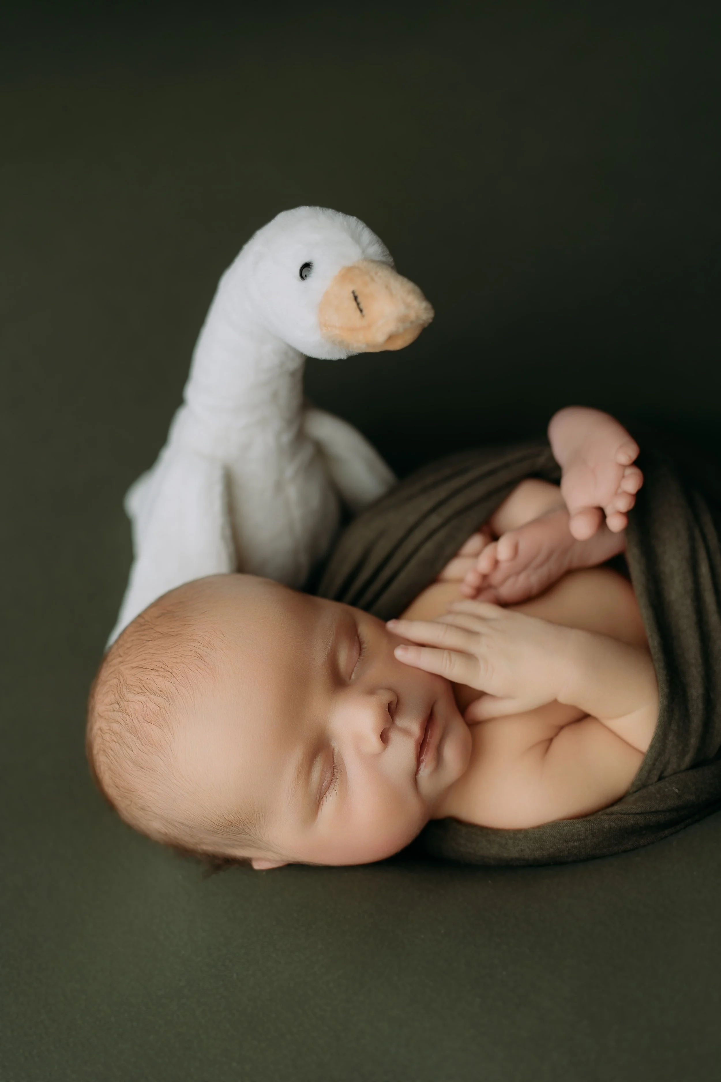 newborn-boy-duck-stuffie-photoshoot.jpg