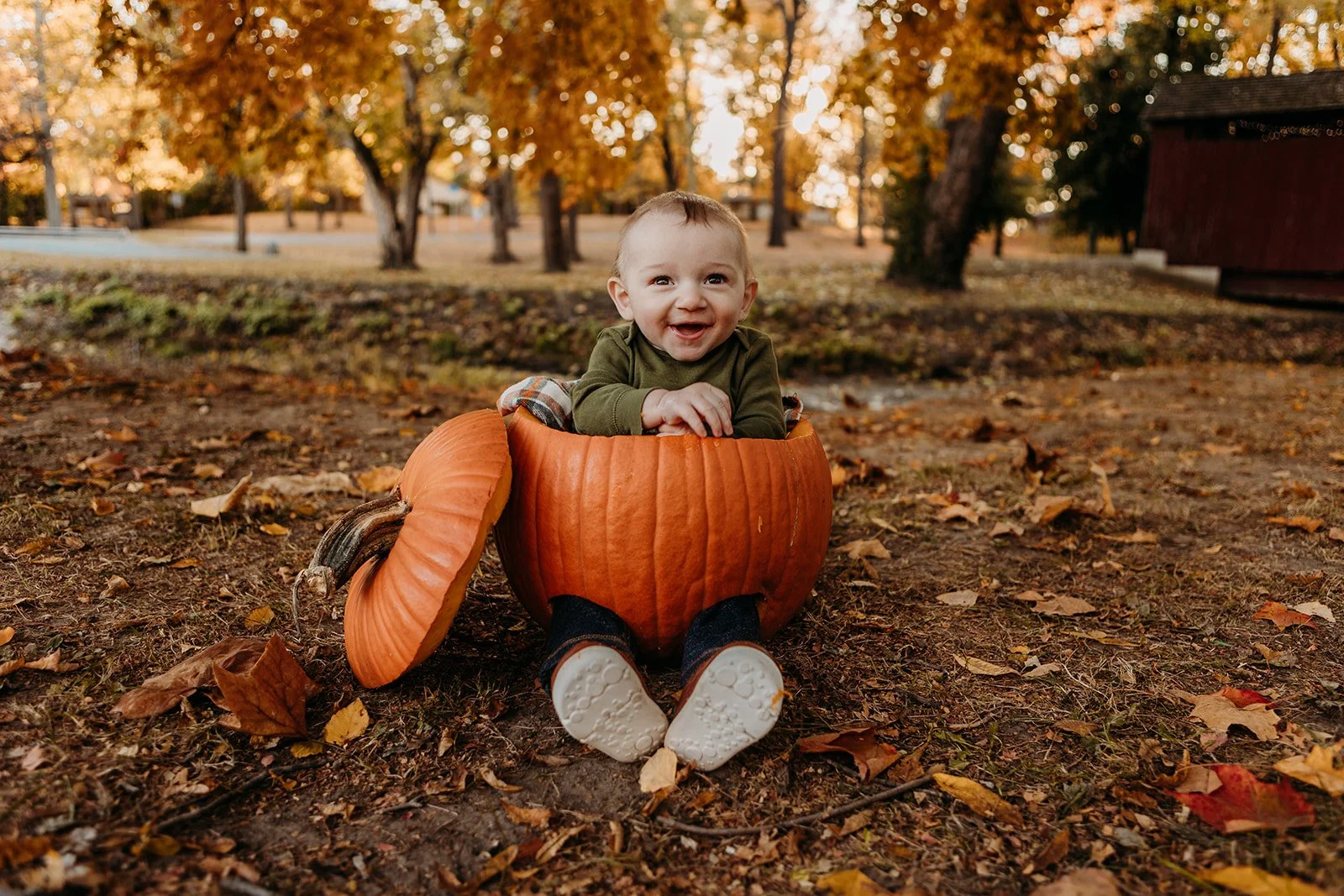 A smiling baby sitting inside a pumpkin in an outdoor park during autumn, with fallen leaves and trees in the background.