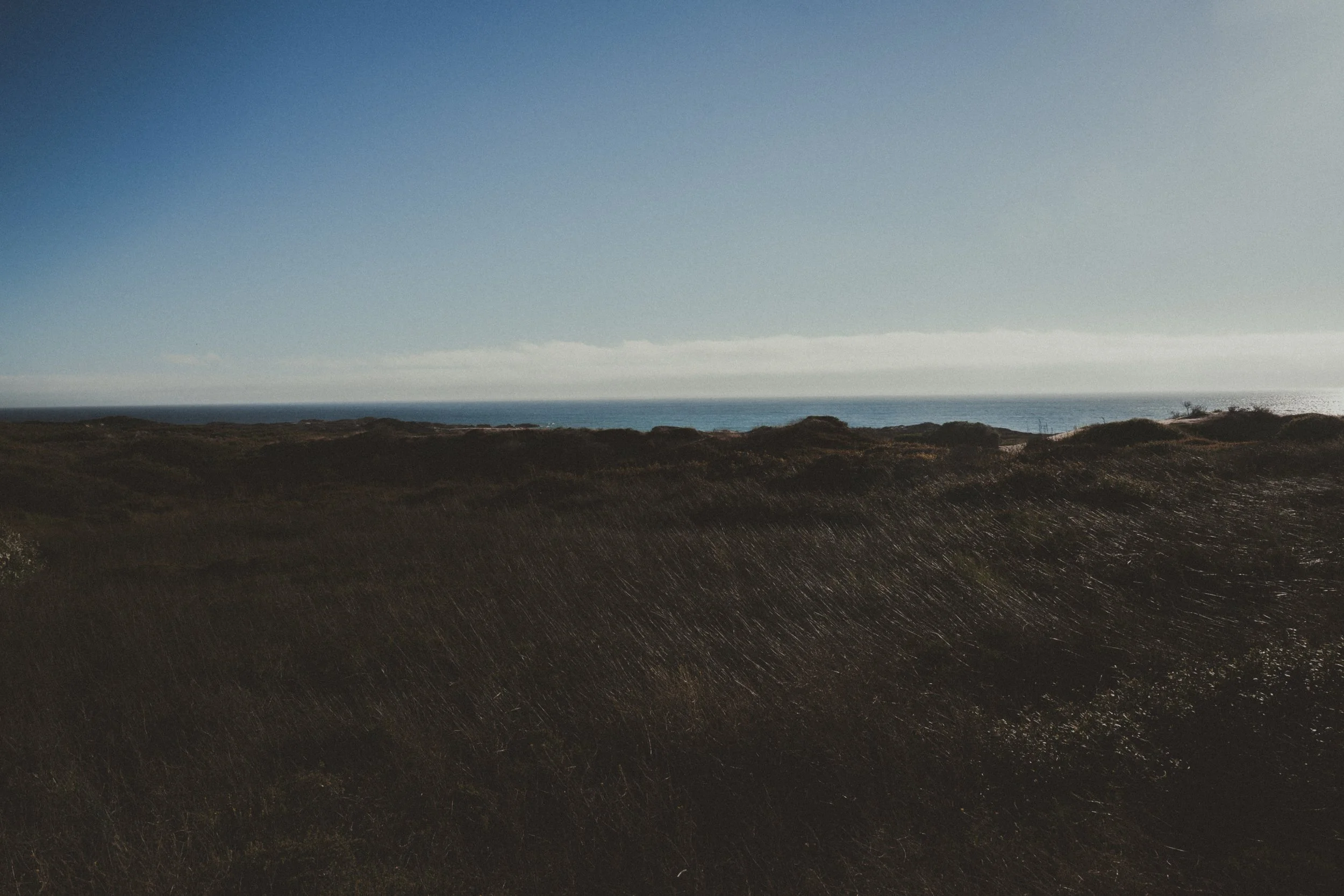 The Perfection of Patience: Cultivating Wisdom in the Midst of Difficulty