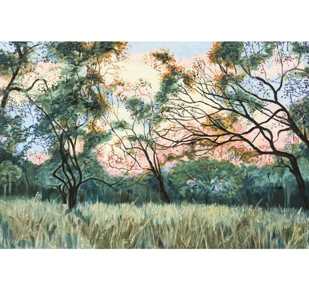View+from+Camp.+Manning+Station.+Oil+on+canvas.+900+x+750.+$900_item.jpg