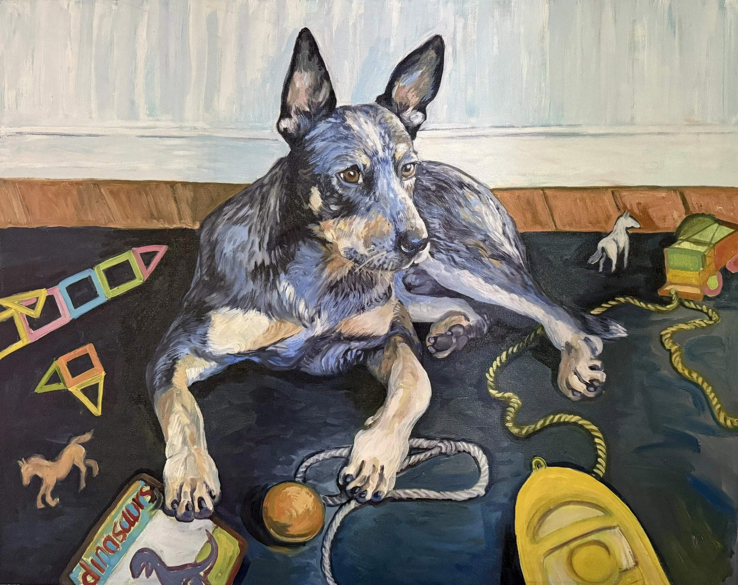 Flynn - Australian cattle dog
