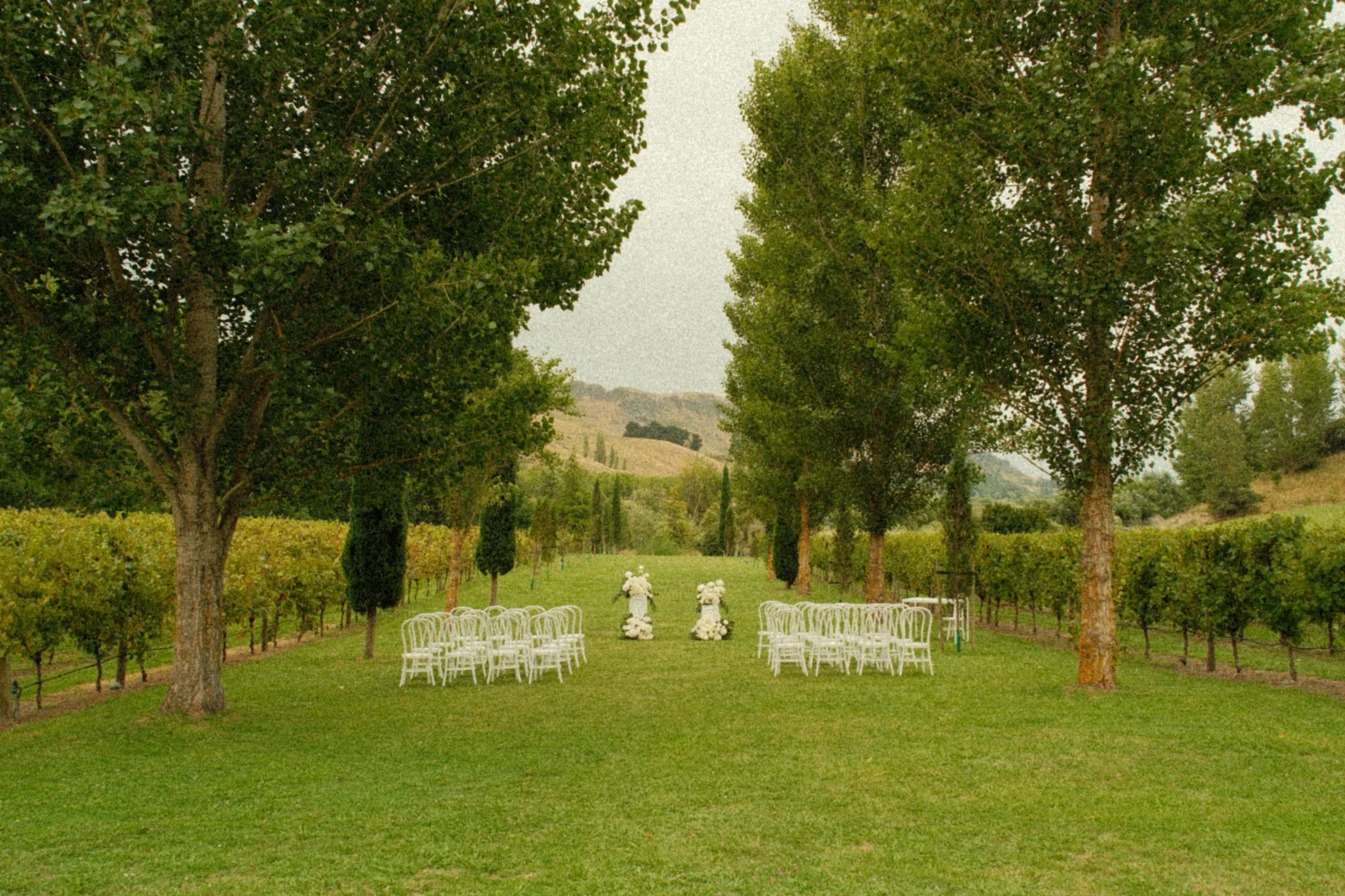 A wedding ceremony setup in a lush green vineyard with rows of grapevines, tall trees, and hills in the background. White chairs are arranged on either side of a grassy aisle decorated with large floral arrangements.