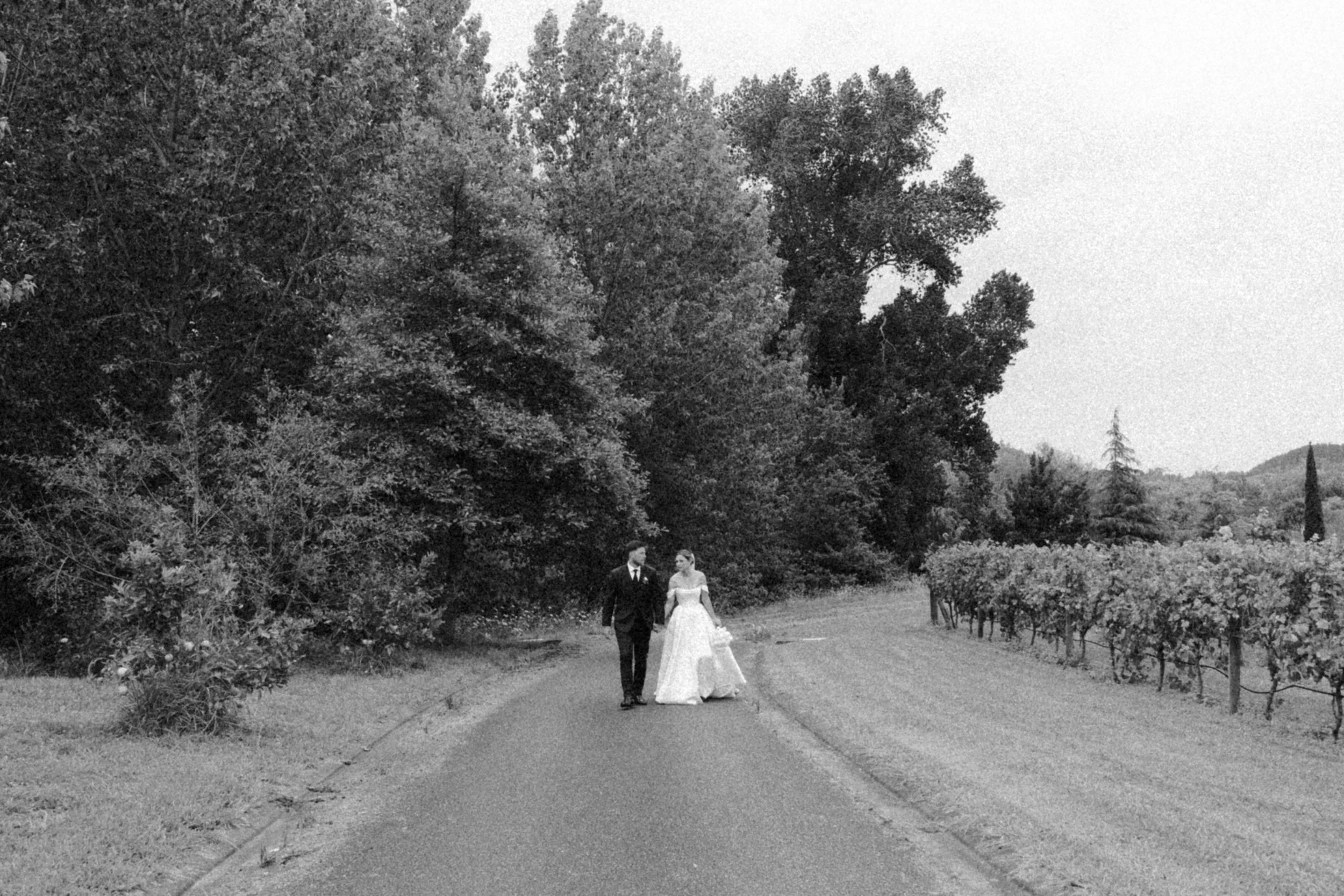 A black-and-white photo of a bride and groom walking on a rural road, surrounded by trees and grapevines.