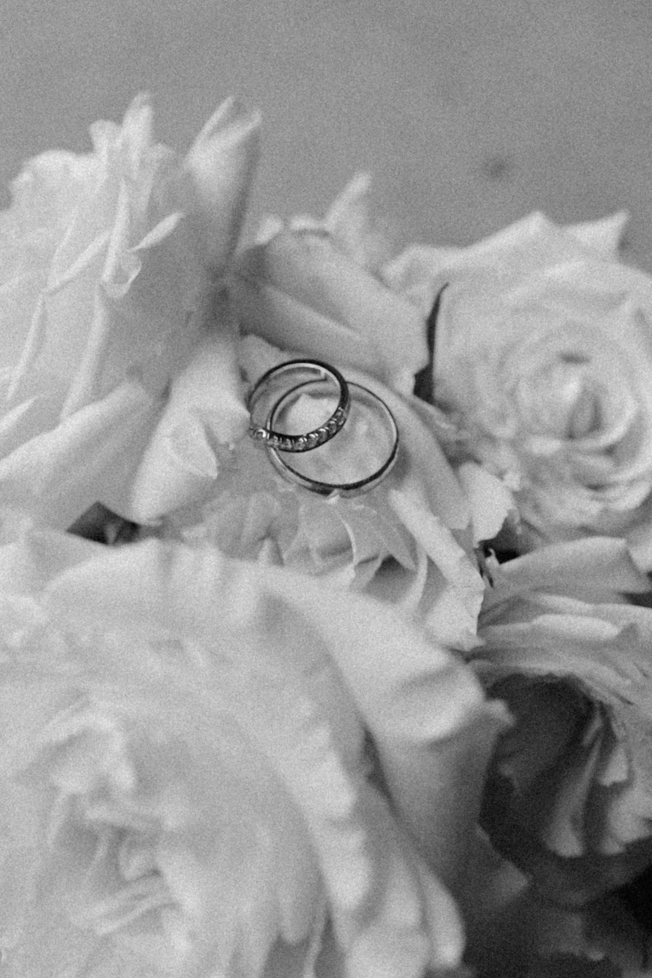 Close-up of wedding rings on white roses in black and white