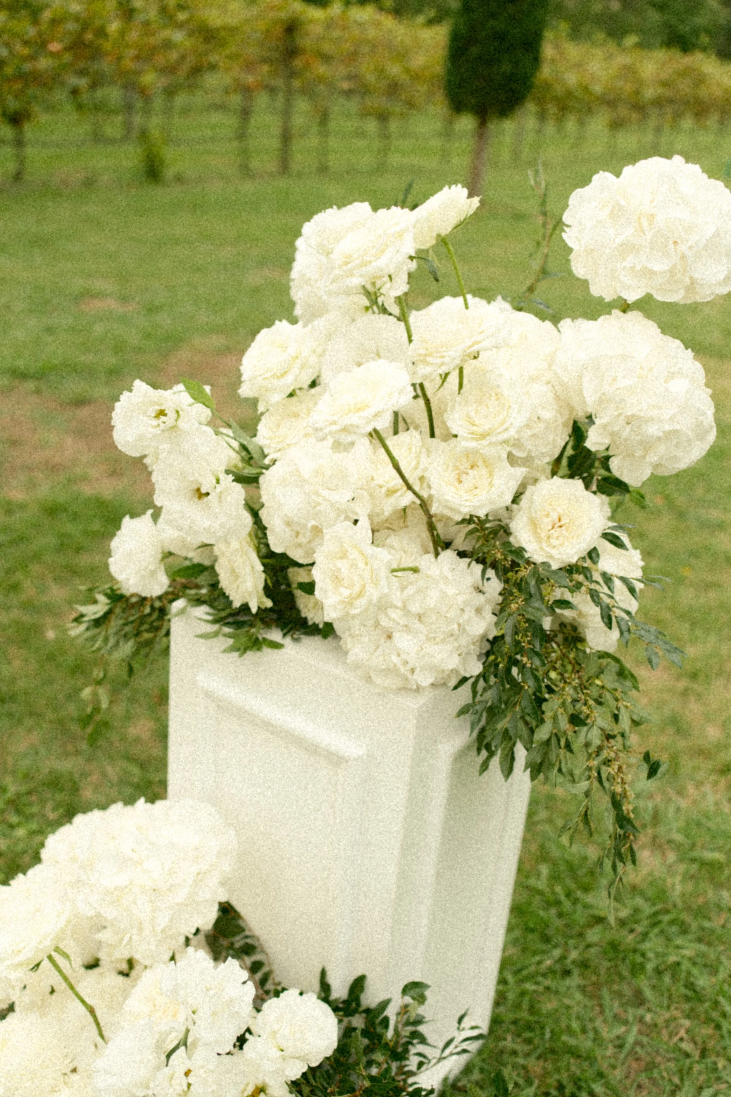 A bouquet of white flowers in a white rectangular vase on a grassy outdoor area.